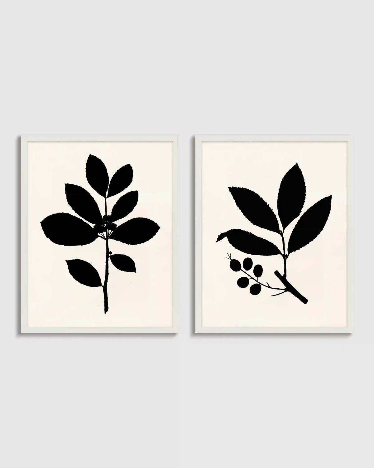 Tea Tree, Cherry Laurel by Philippa Katz (Set of 2)
