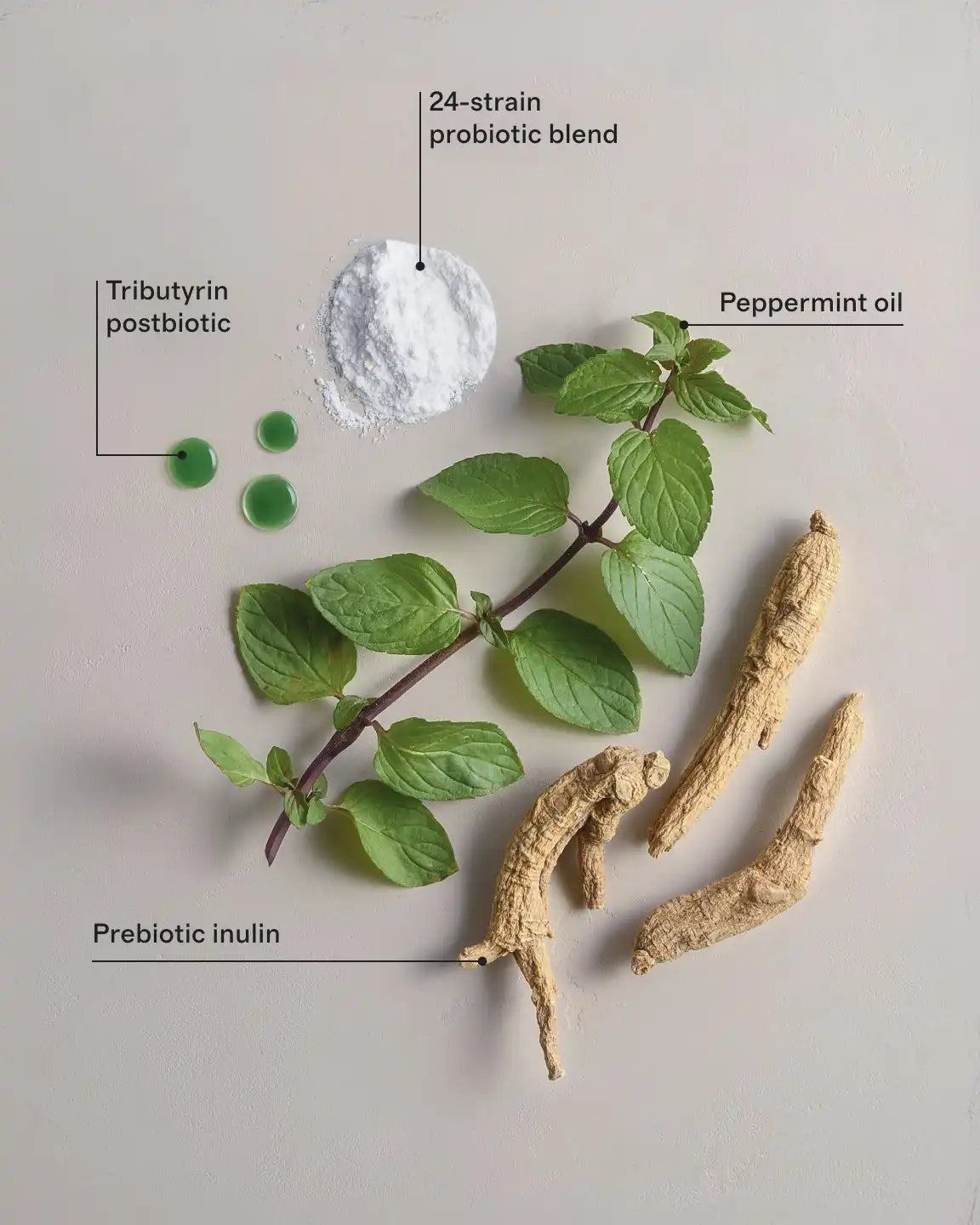 Advanced Daily Synbiotic