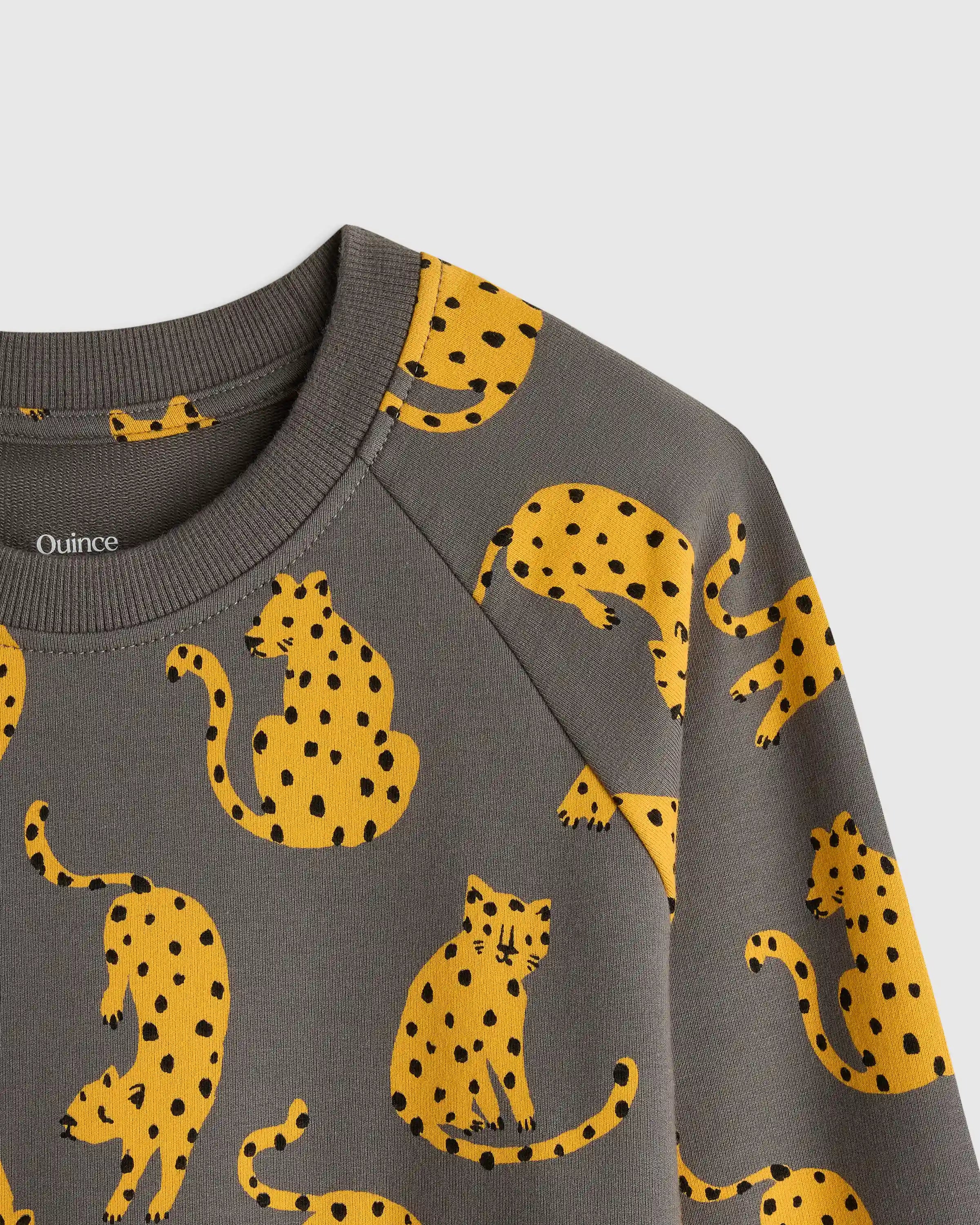Organic Cotton French Terry Crew Neck Sweatshirt