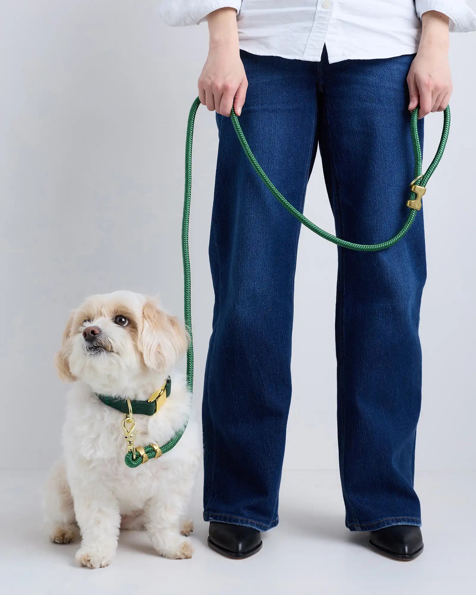 100% Cotton-Wrapped Nylon Dog Collar Walk Kit