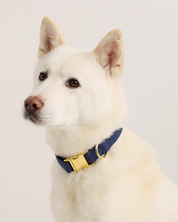 100% Cotton-Wrapped Nylon Dog Collar
