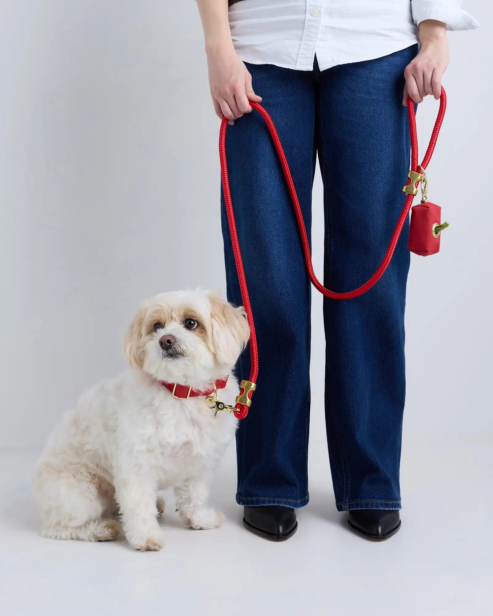 100% Cotton-Wrapped Nylon Dog Collar