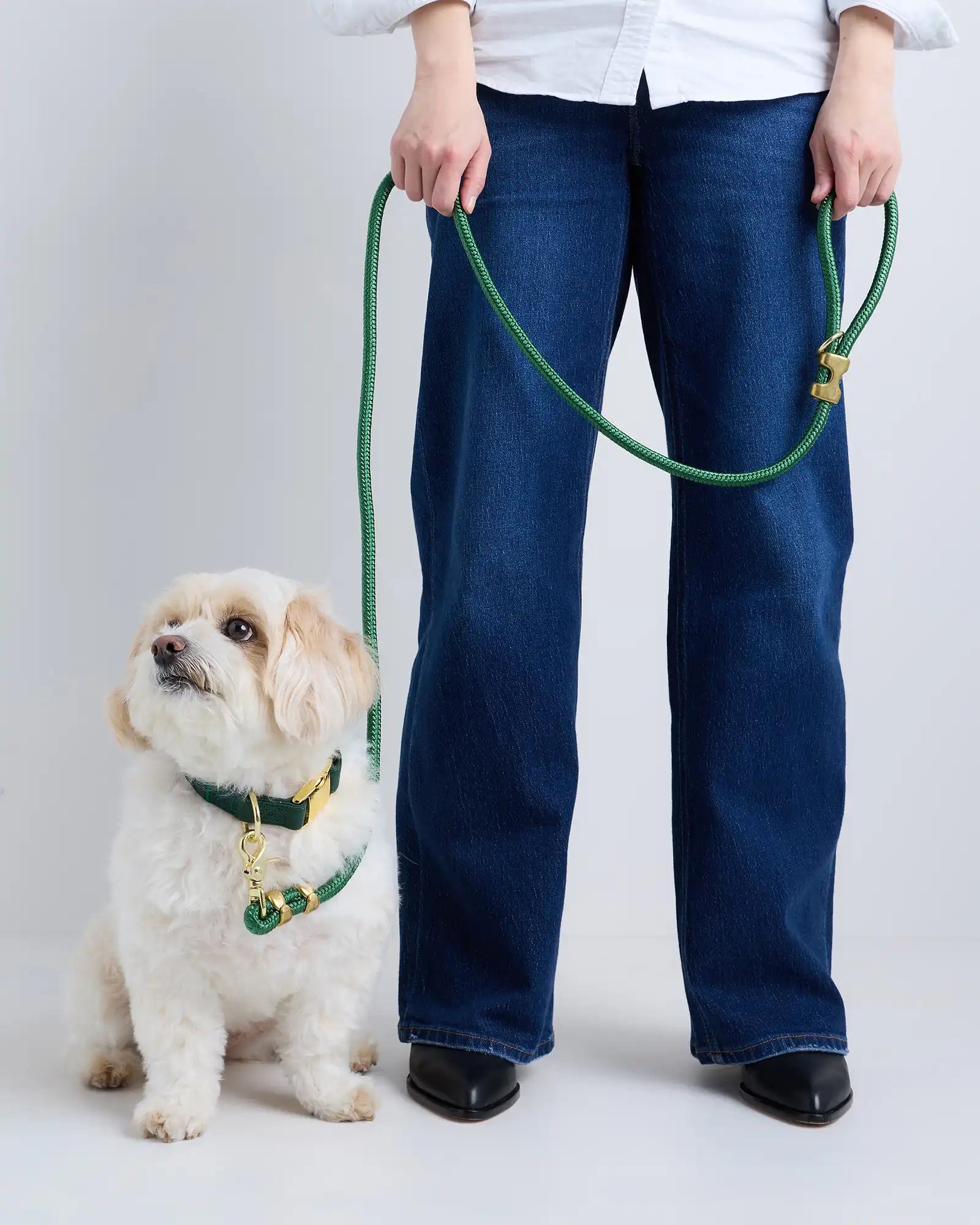 Double-Braided Nylon Rope Dog Leash