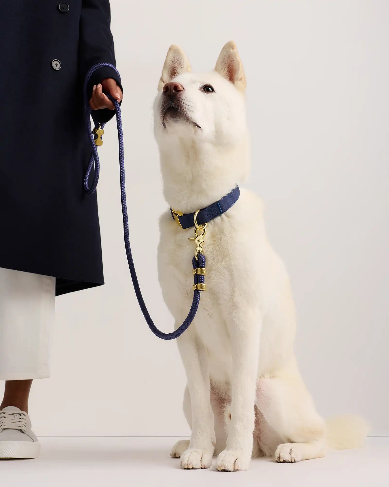 100% Cotton-Wrapped Nylon Dog Collar