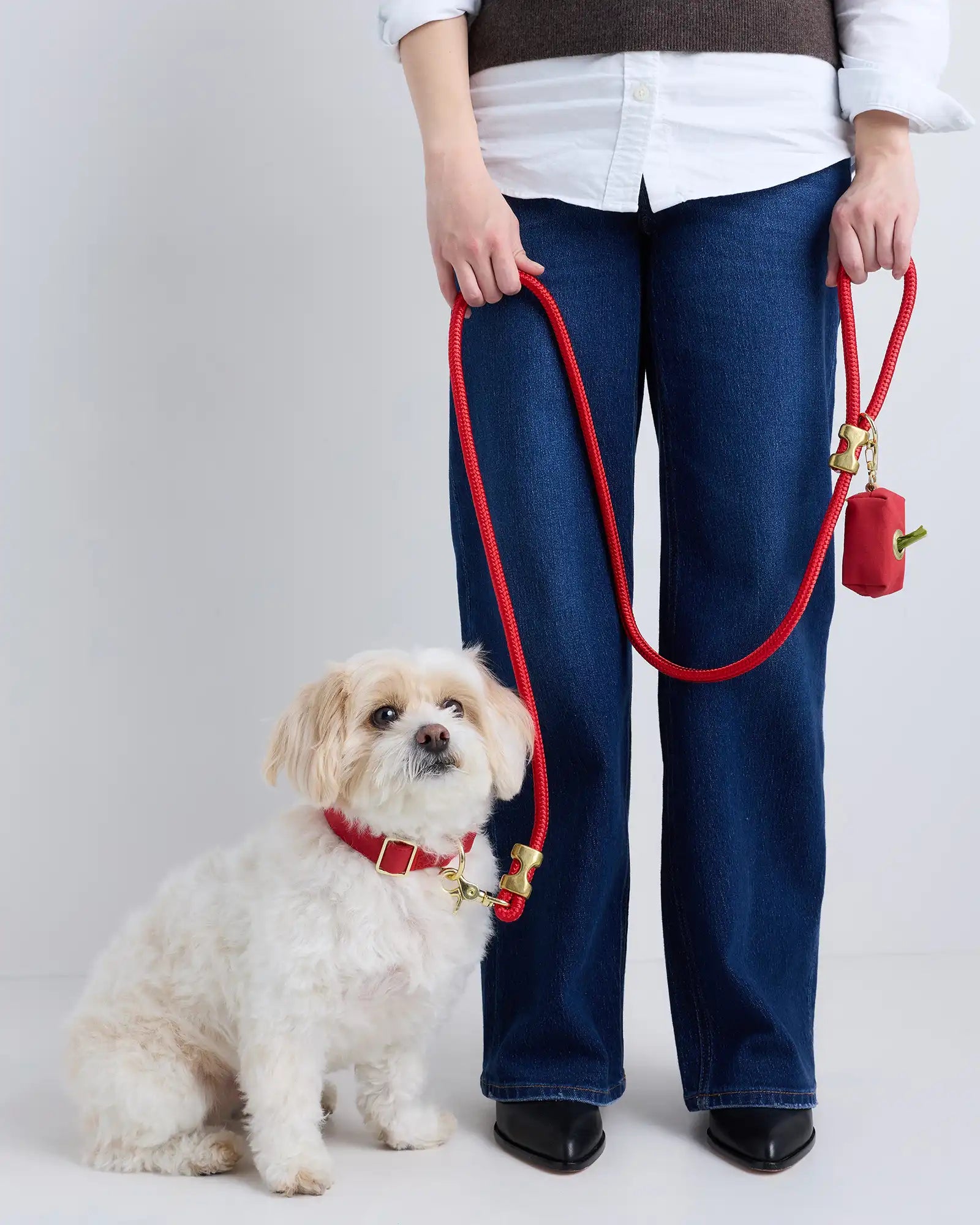 100% Cotton-Wrapped Nylon Dog Collar Walk Kit