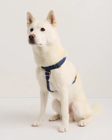 100% Cotton-Wrapped Nylon Dog Harness