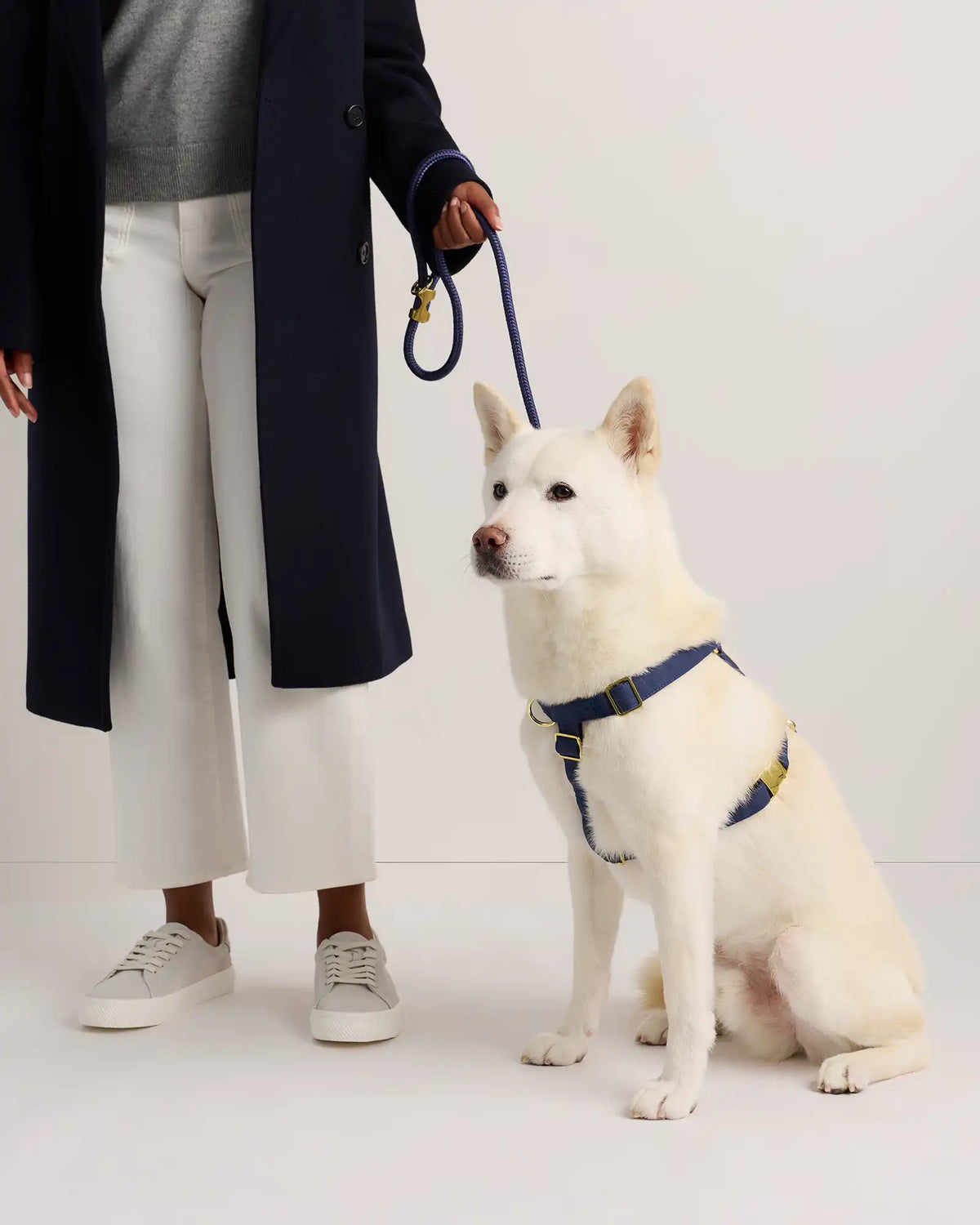 100% Cotton-Wrapped Nylon Dog Harness