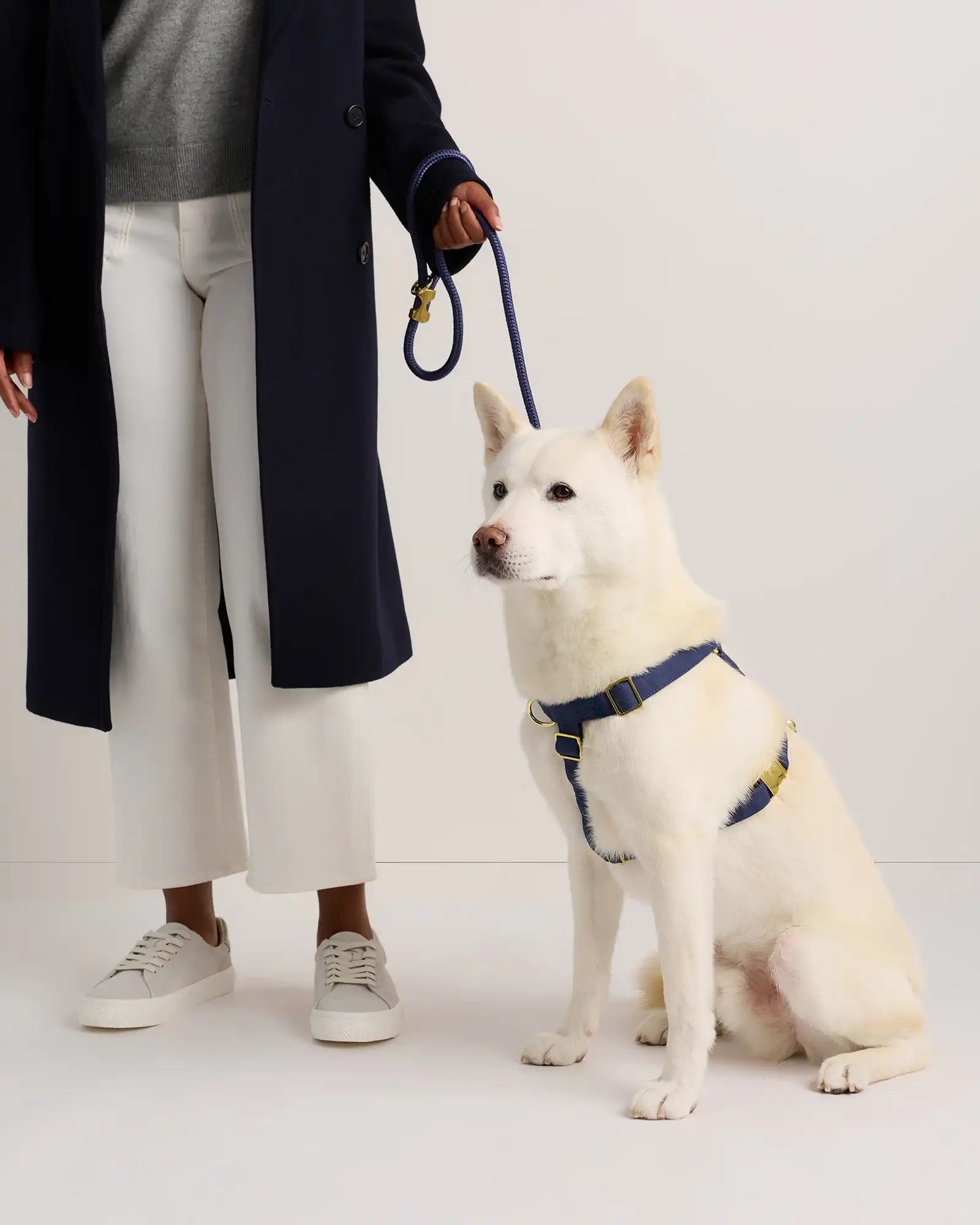 100% Cotton-Wrapped Nylon Dog Harness