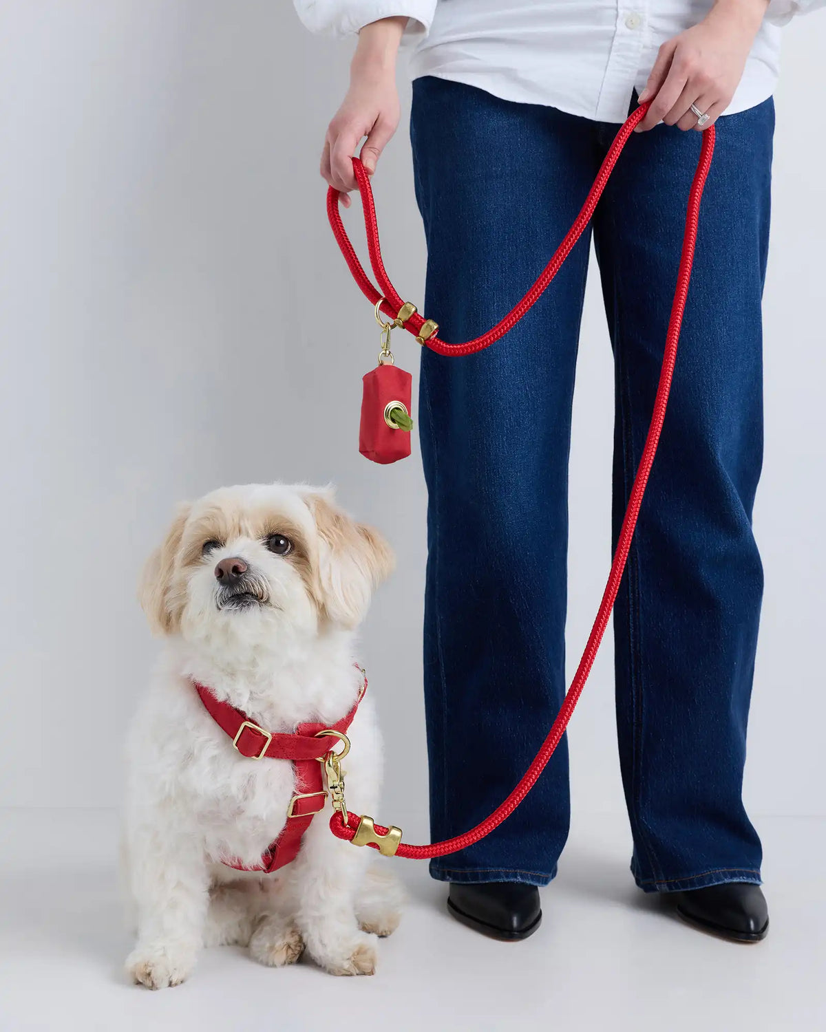 100% Cotton-Wrapped Nylon Dog Harness