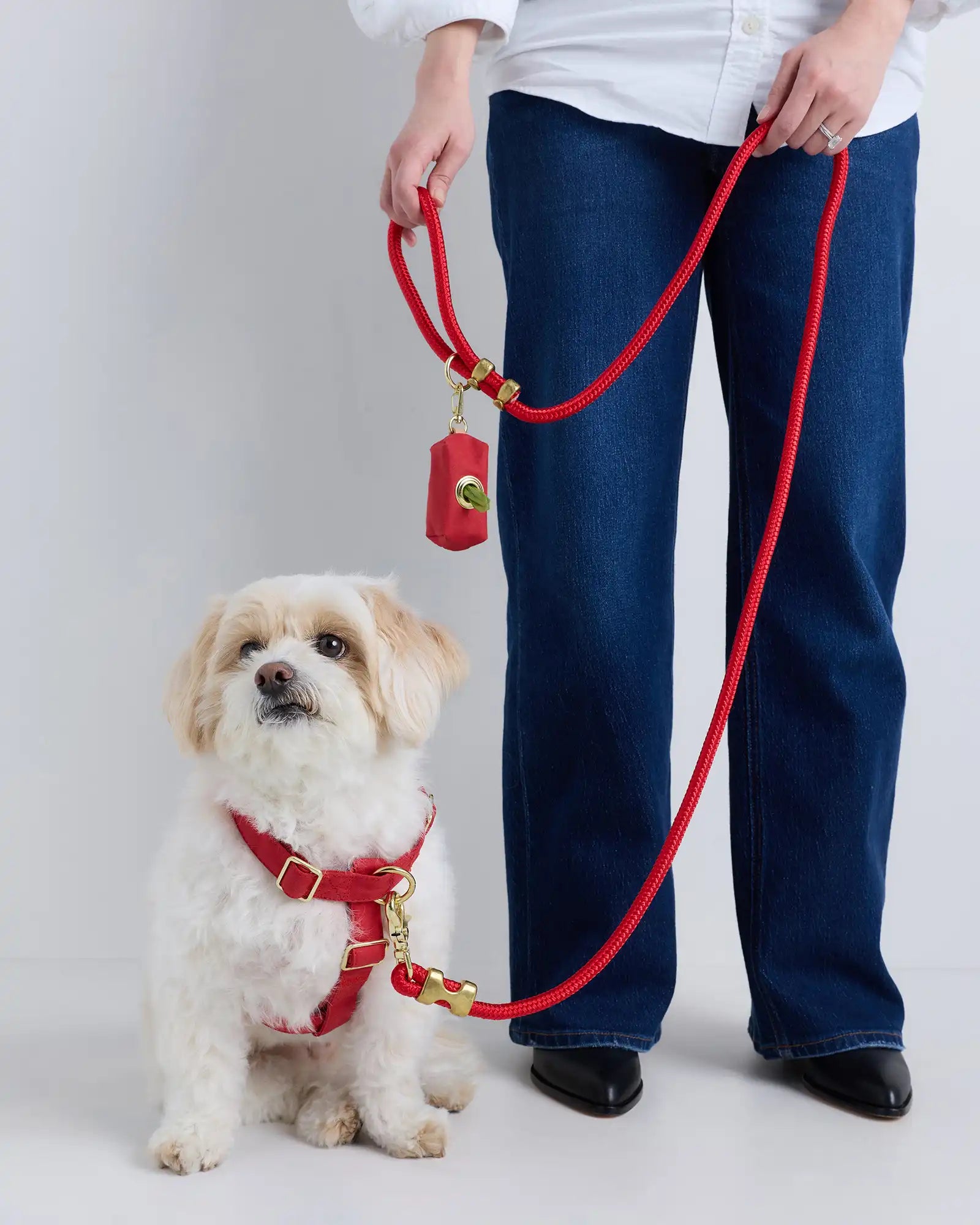 100% Cotton-Wrapped Nylon Dog Harness Walk Kit