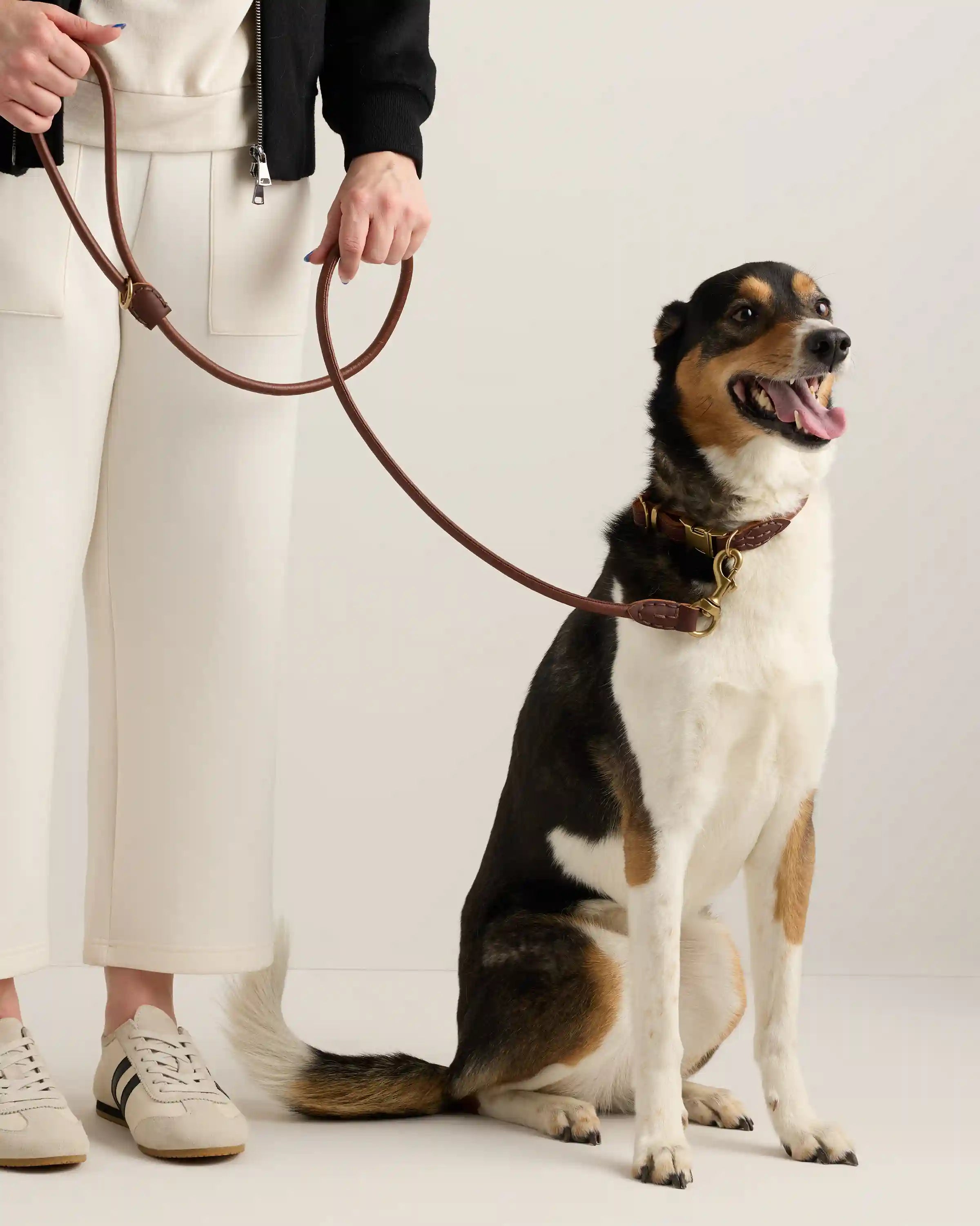 Rolled Italian Leather Dog Collar