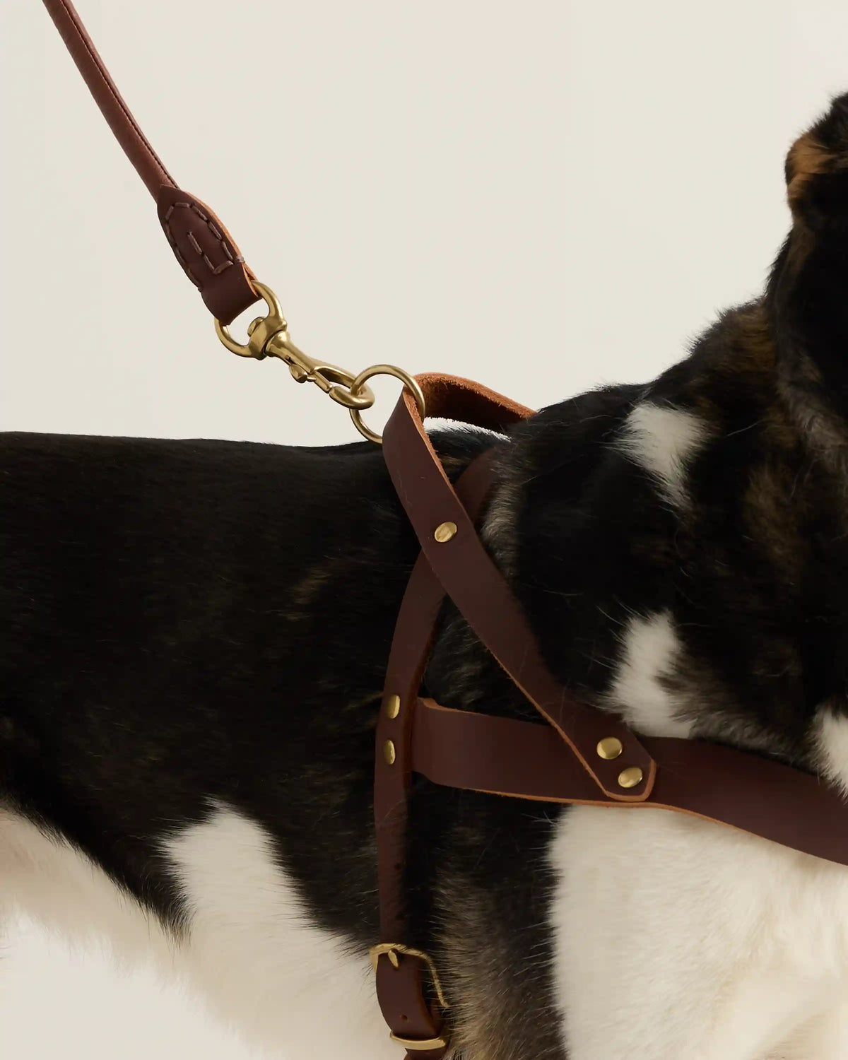 Rolled Italian Leather Dog Leash