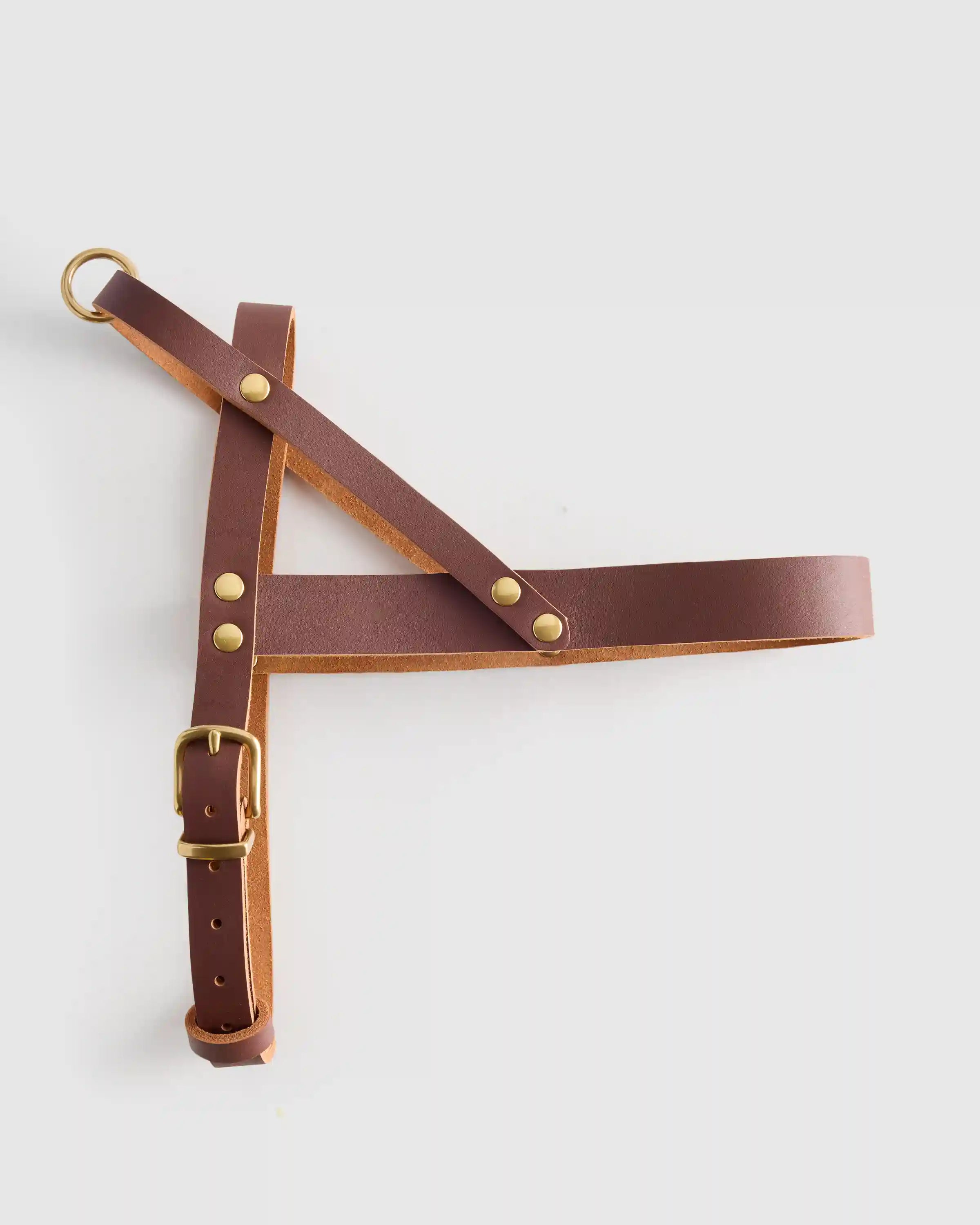 Italian Leather Dog Harness