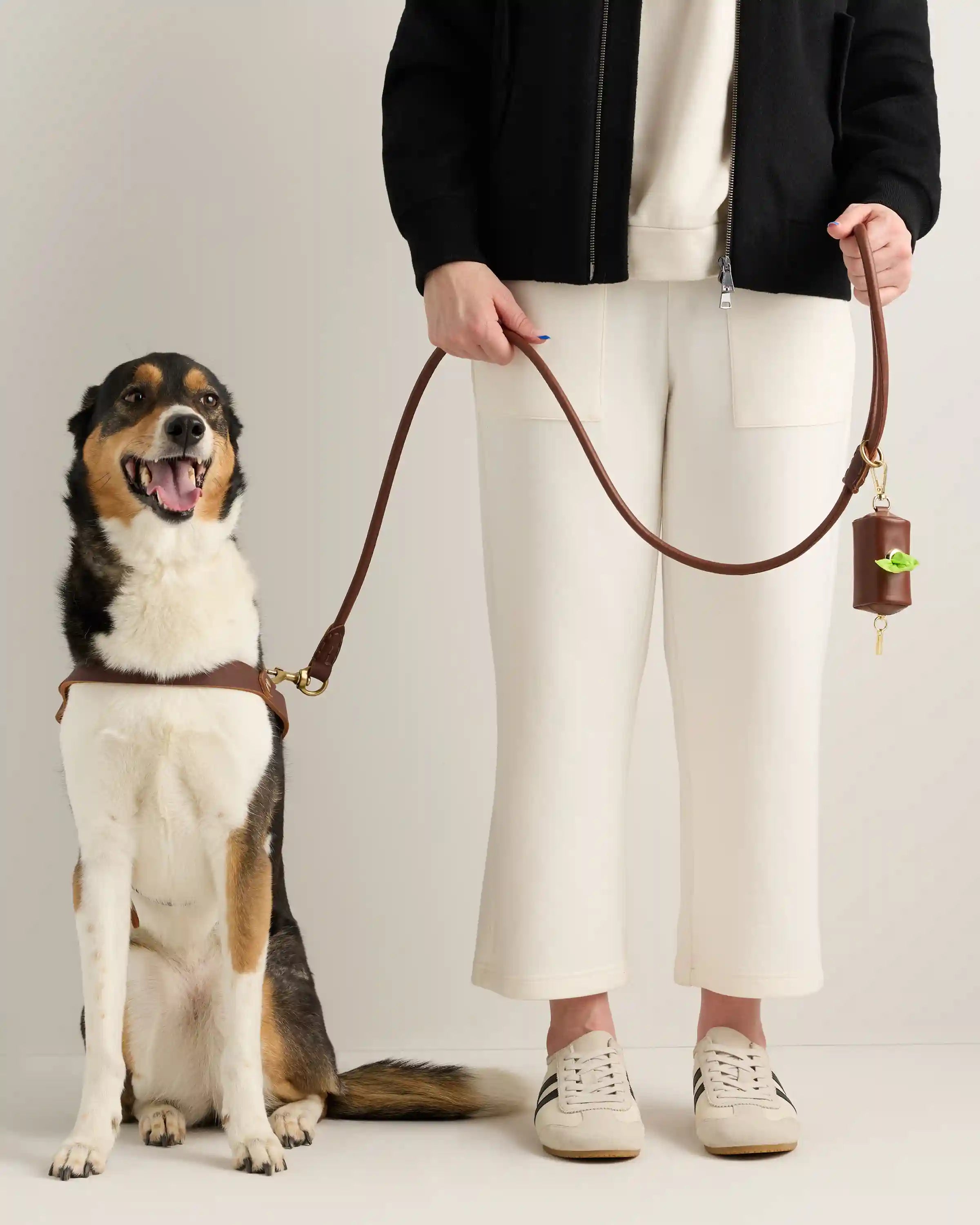 Italian Leather Dog Waste Bag Holder
