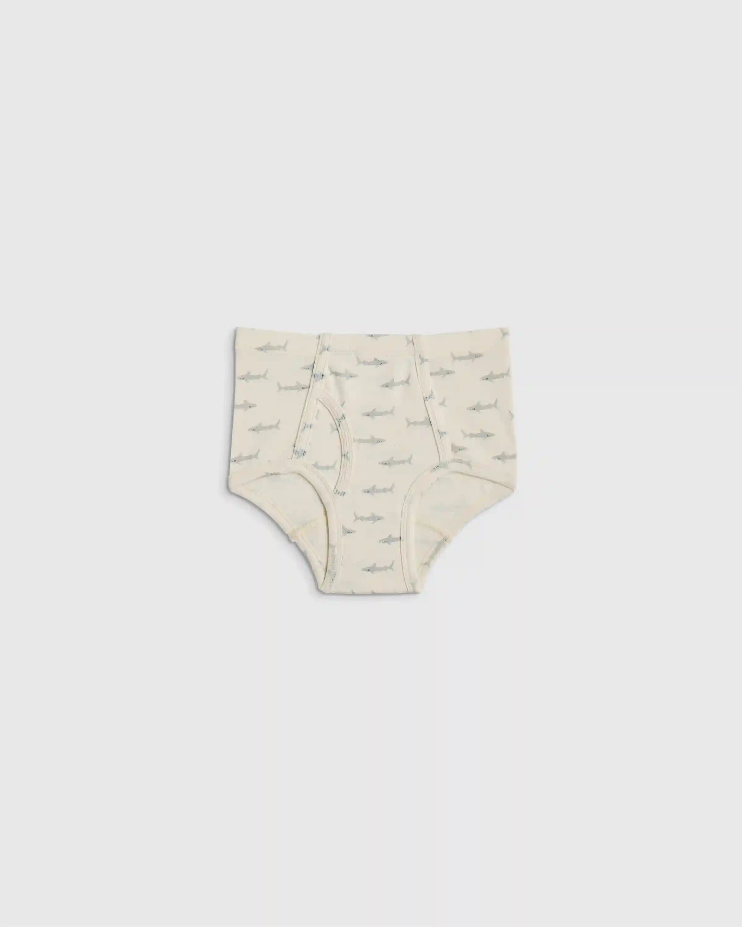 Boys 100% Organic Cotton Classic Briefs 7-pack
