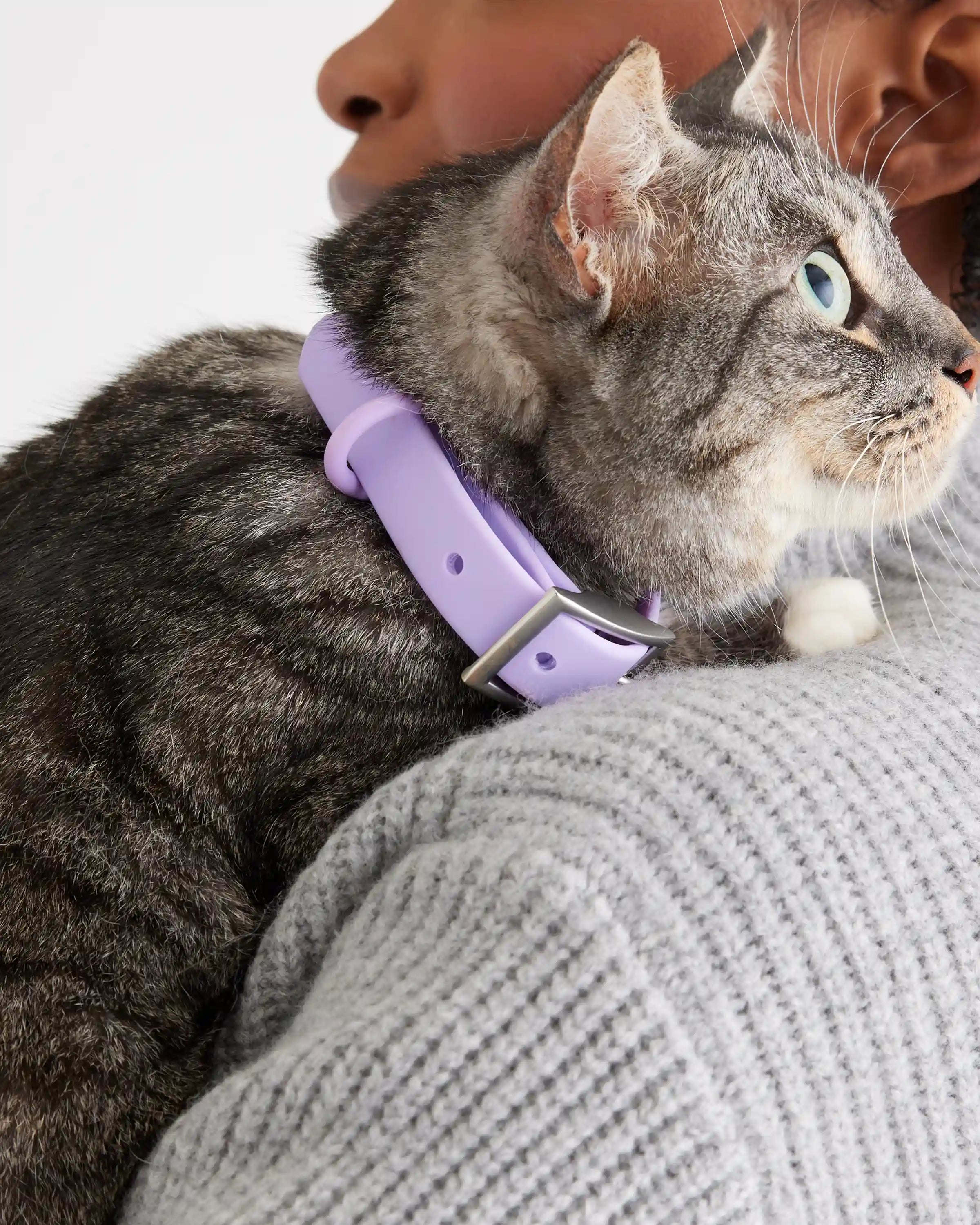 Flex-Poly Dog Collar