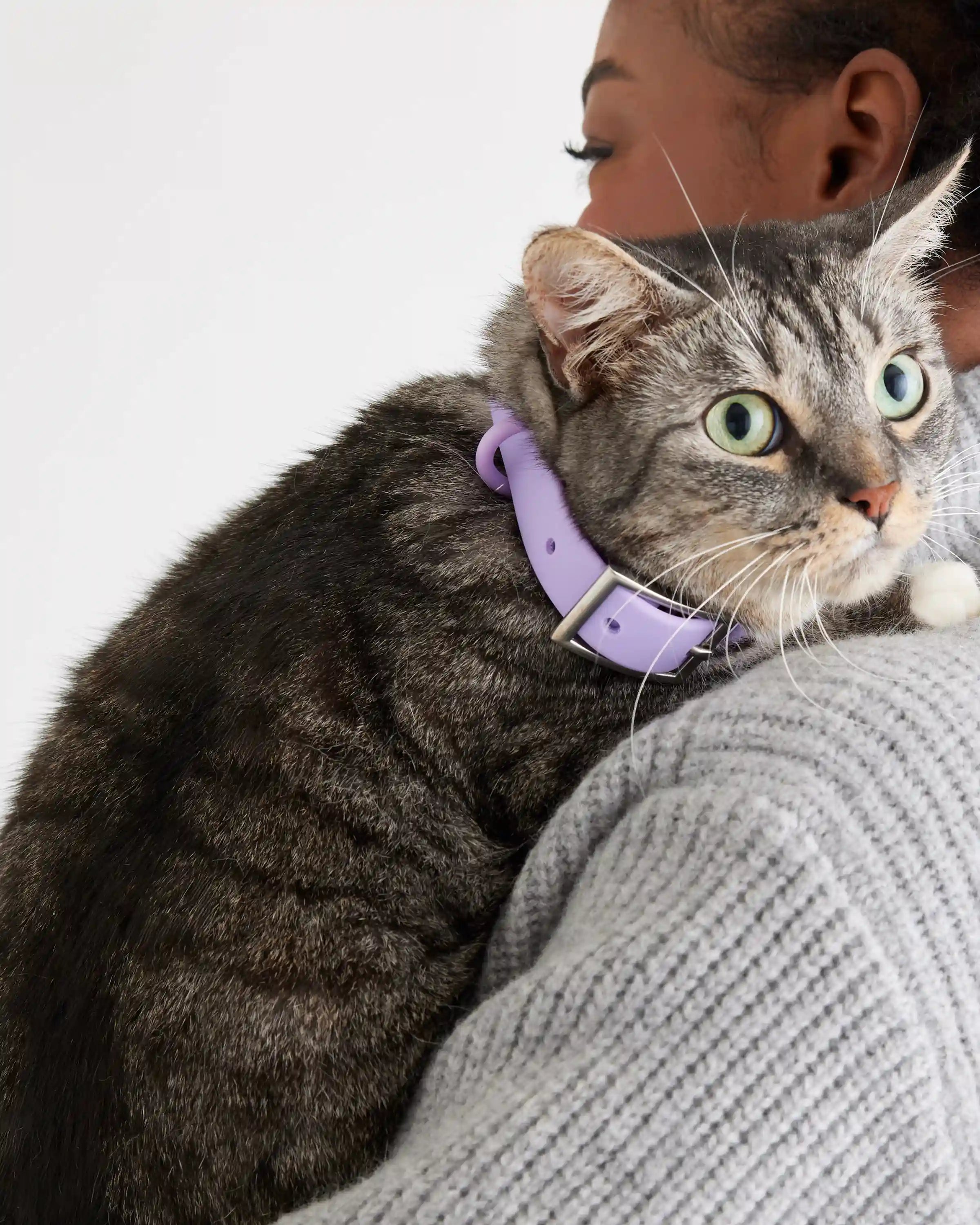 Flex-Poly Dog Collar