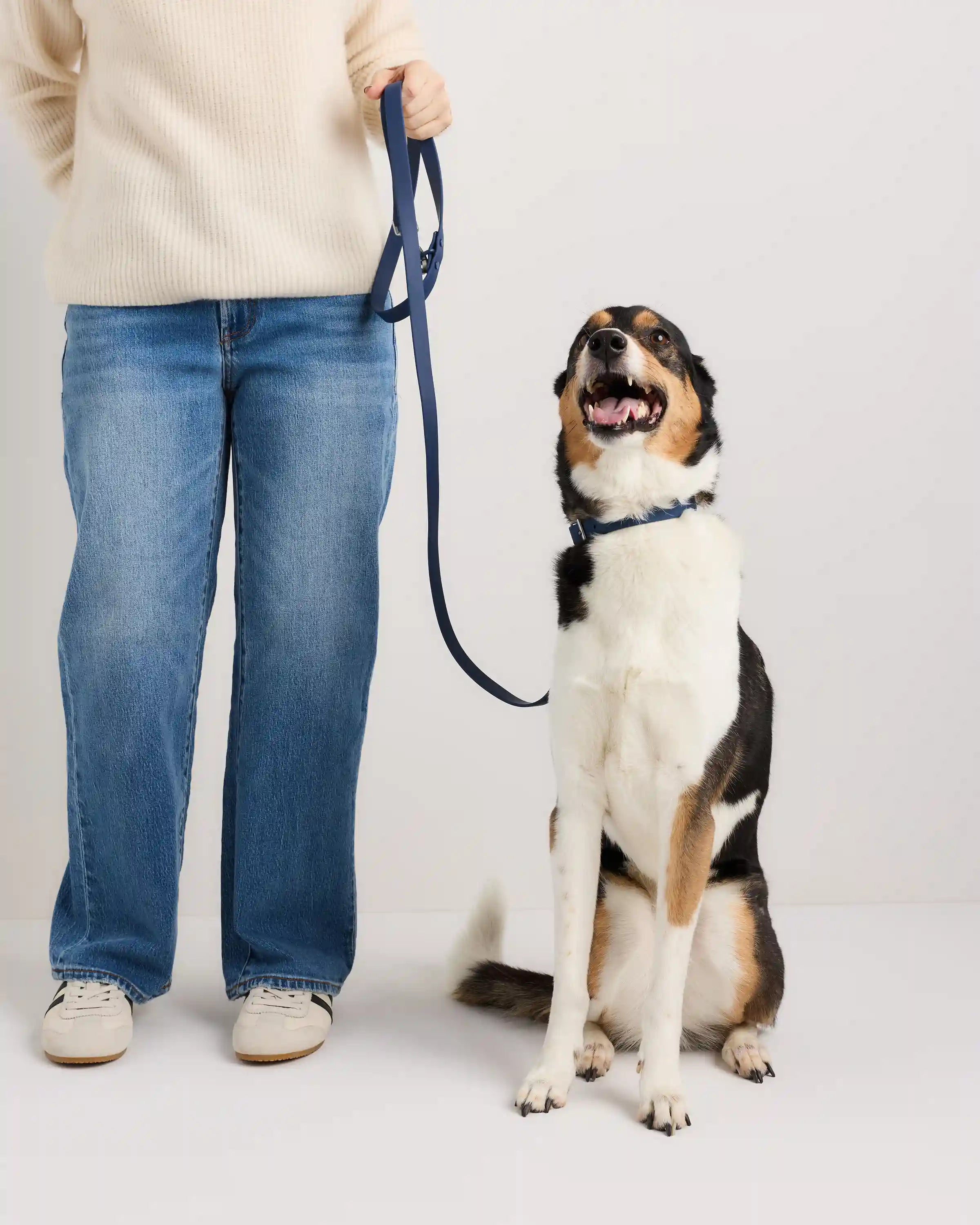 Flex-Poly Dog Leash