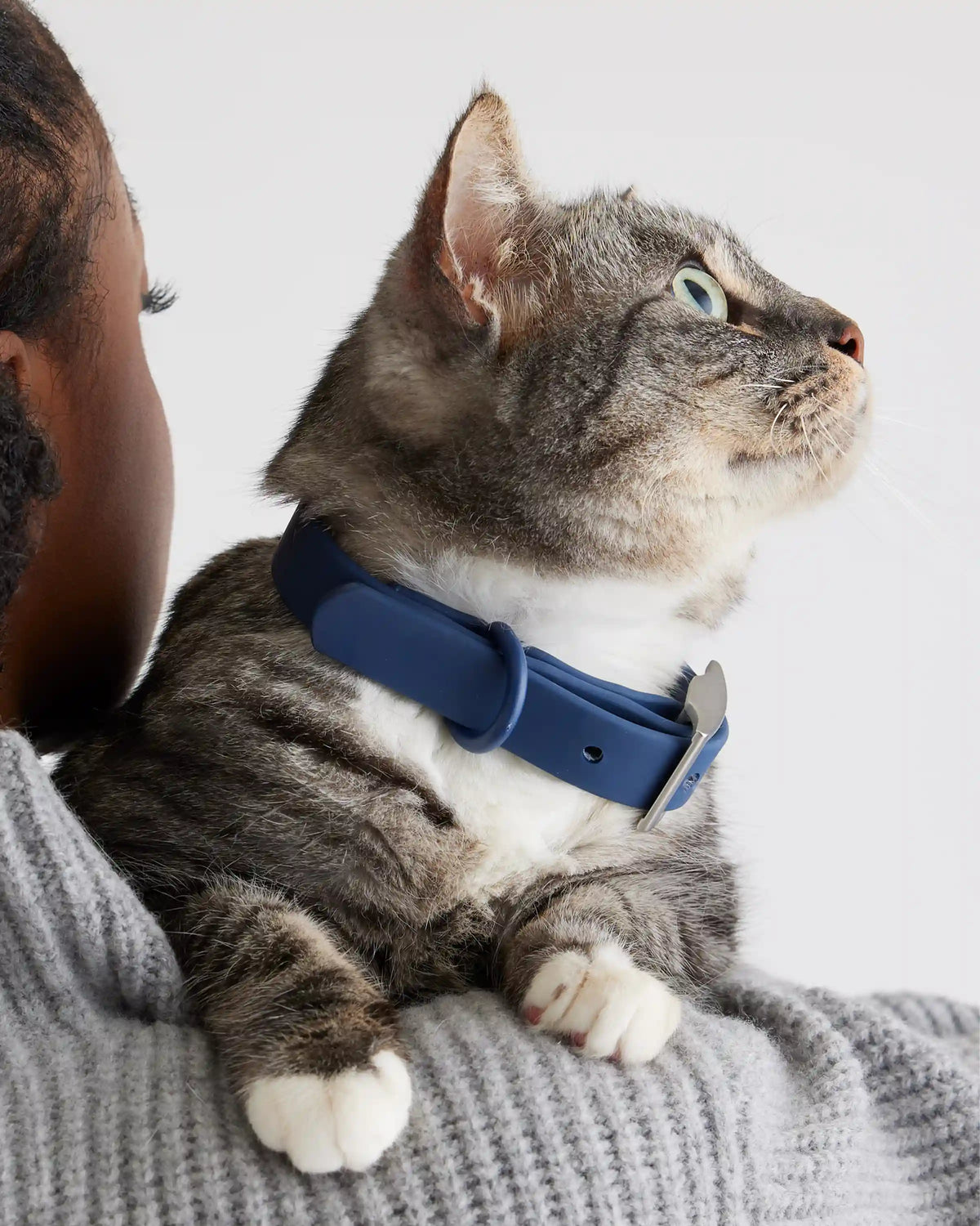 Flex-Poly Dog Collar