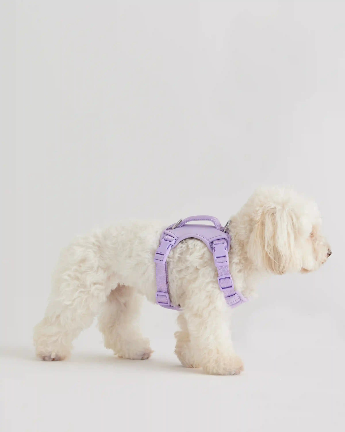 Neoprene Double Panel Dog Harness