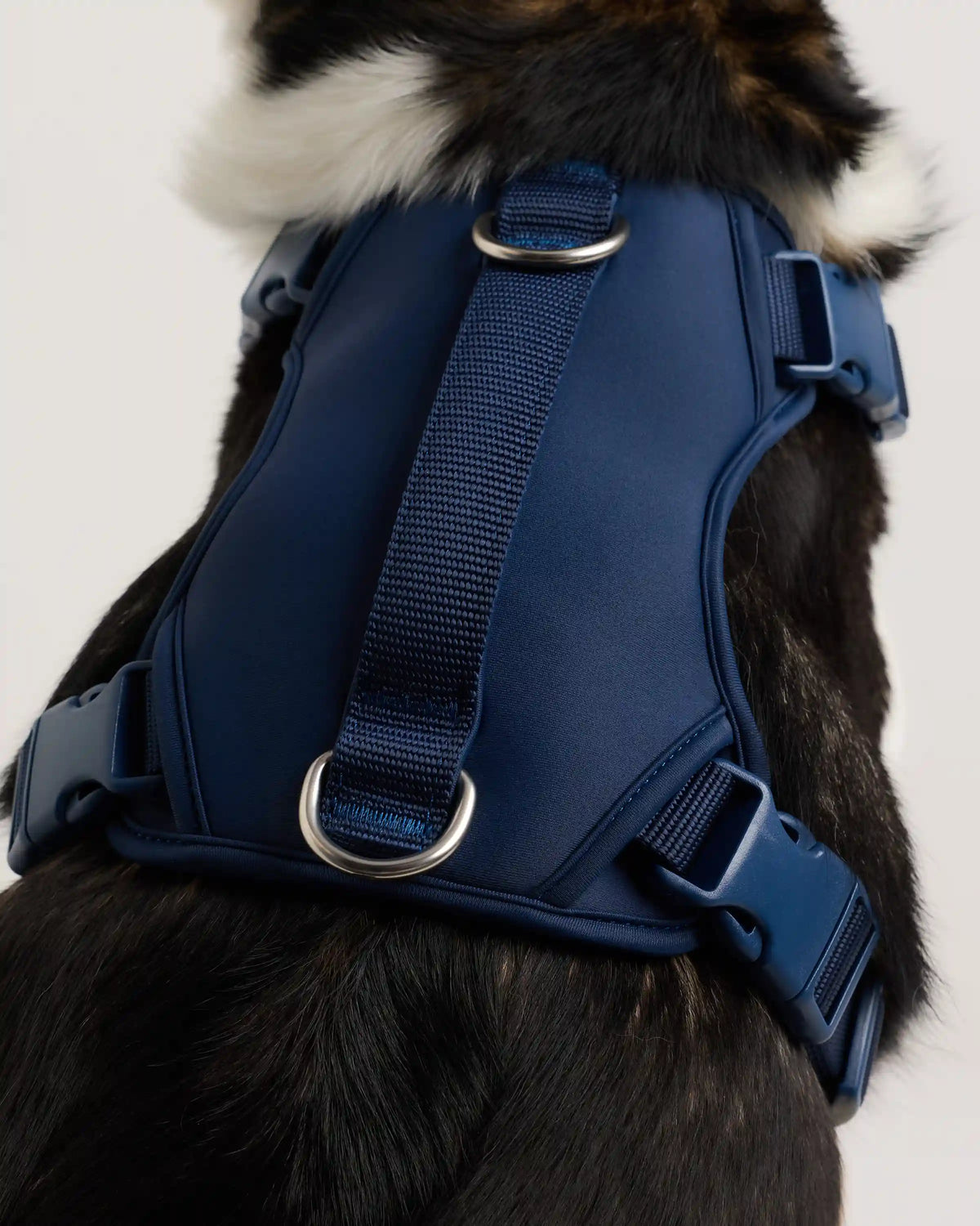 Neoprene Double Panel Dog Harness