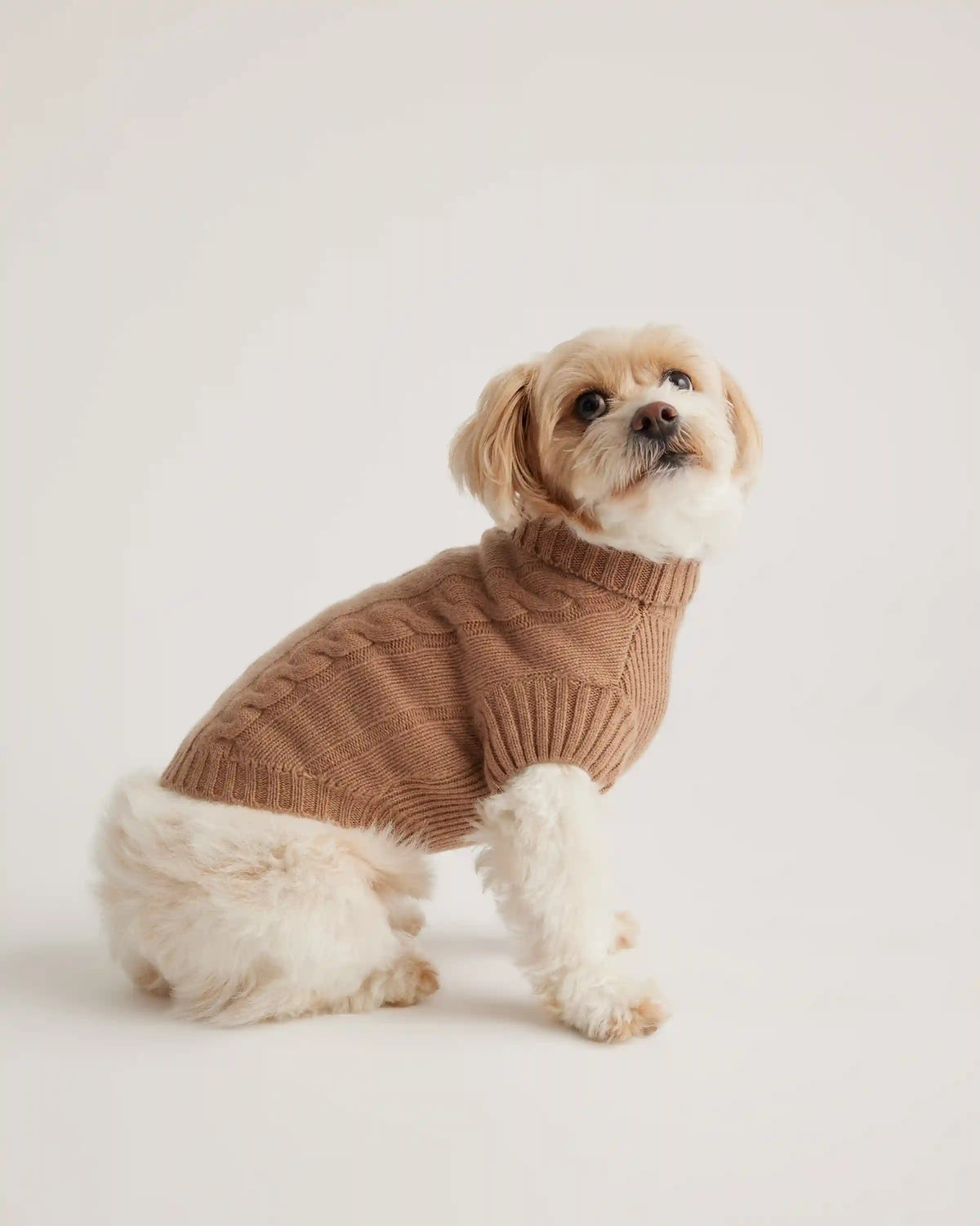 Mongolian Cashmere Cable Knit Dog Sweater