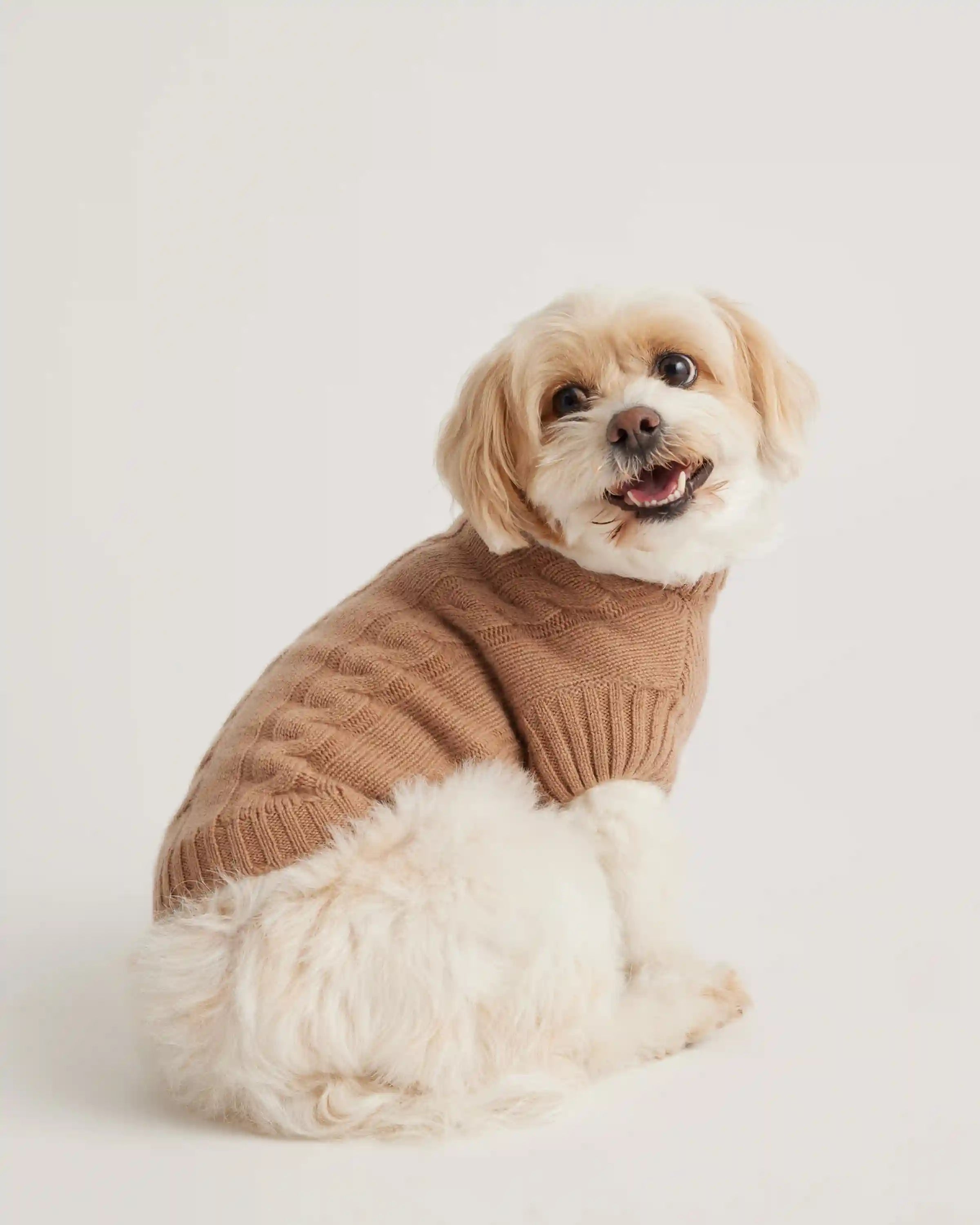 Mongolian Cashmere Cable Knit Dog Sweater