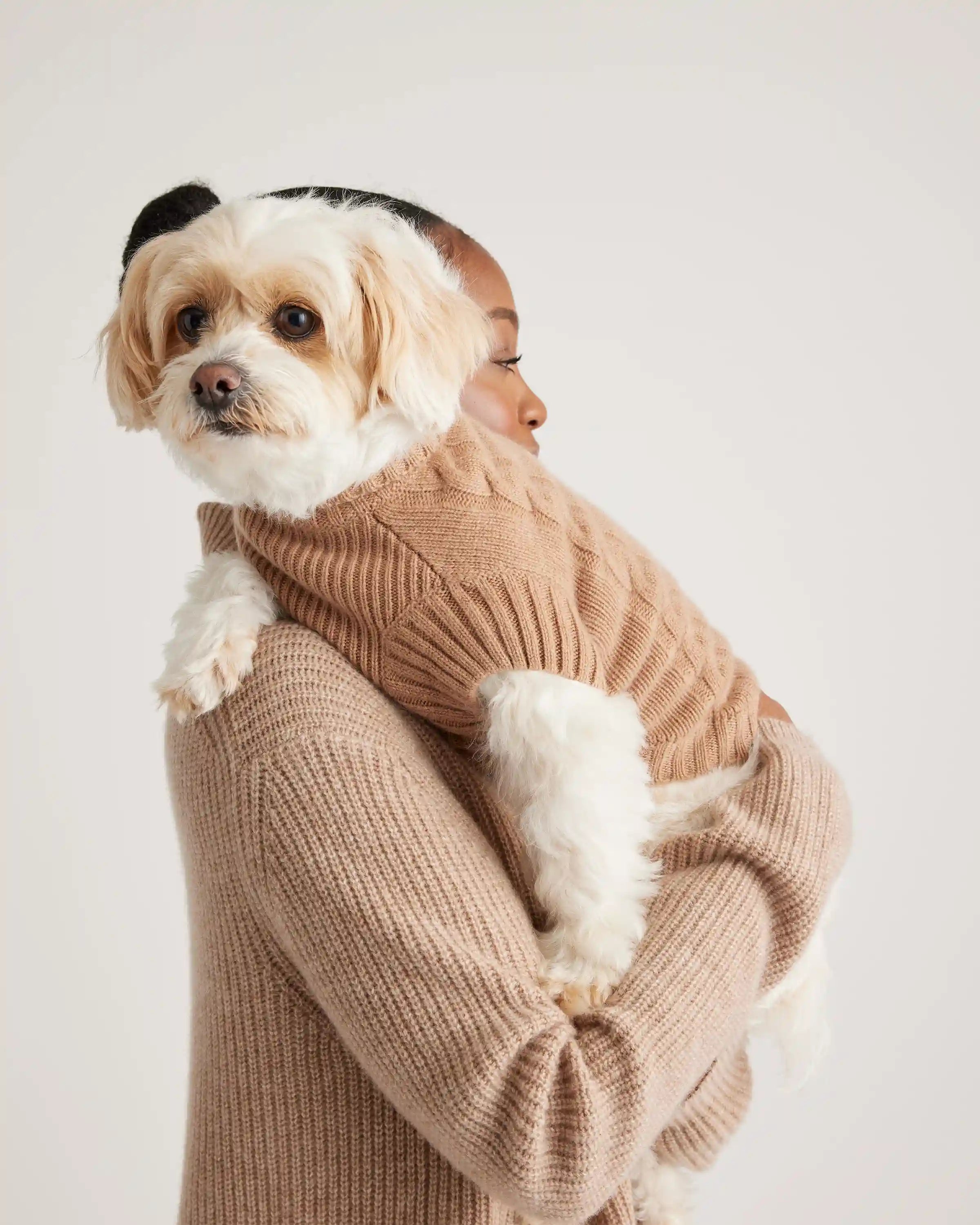 Mongolian Cashmere Cable Knit Dog Sweater