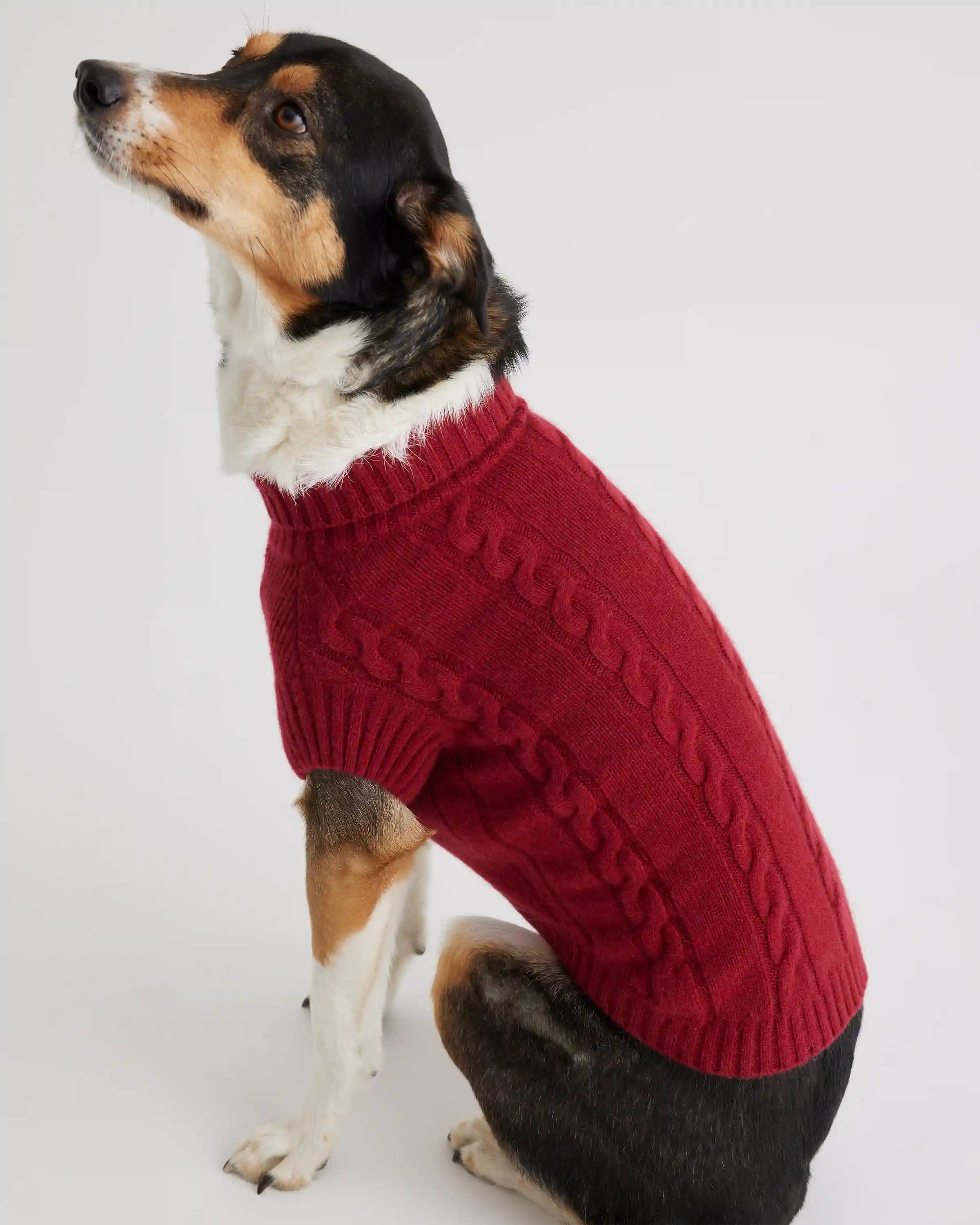 Mongolian Cashmere Cable Knit Dog Sweater
