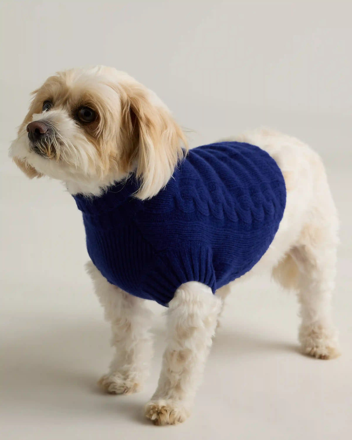 Mongolian Cashmere Cable Knit Dog Sweater