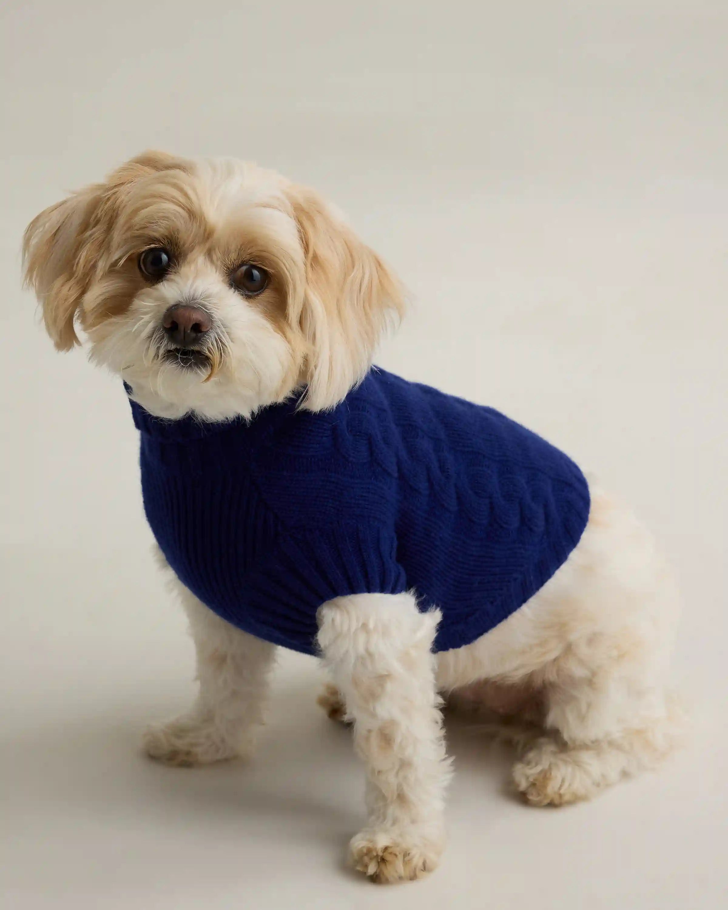 Mongolian Cashmere Cable Knit Dog Sweater