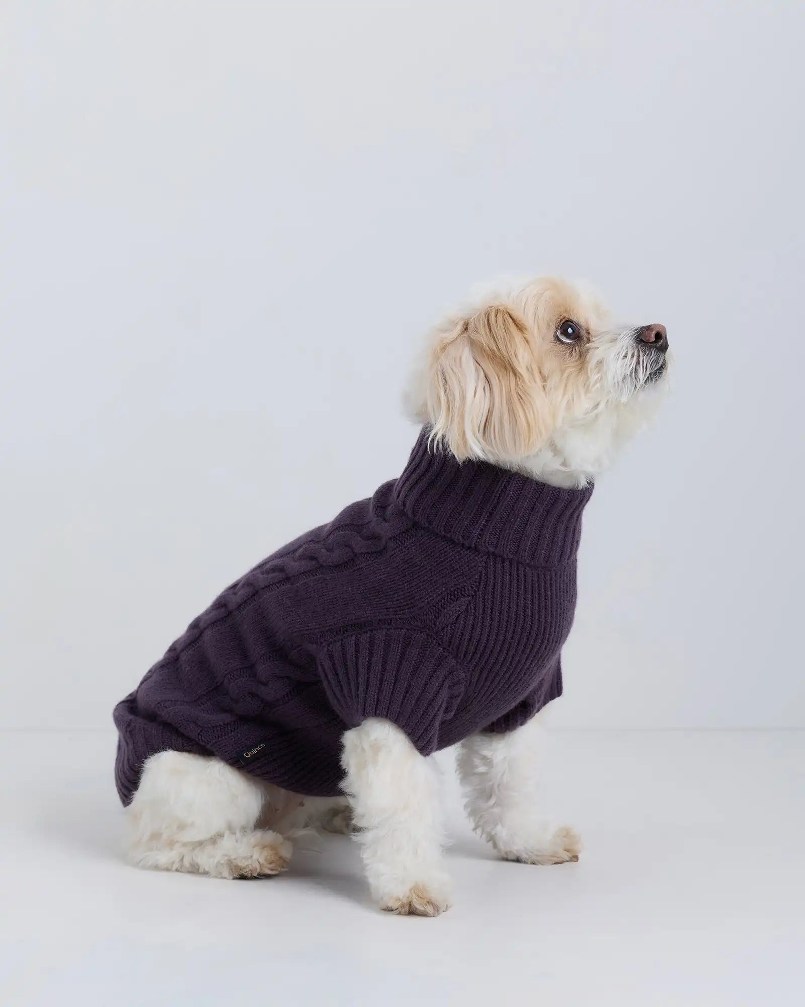 Mongolian Cashmere Cable Knit Dog Sweater