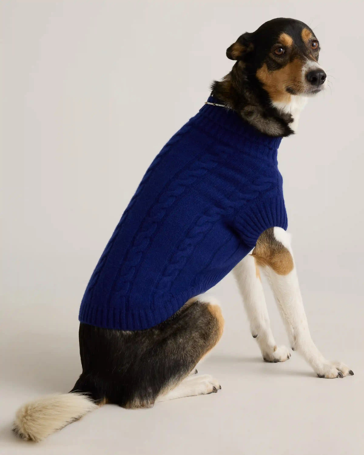 Mongolian Cashmere Cable Knit Dog Sweater