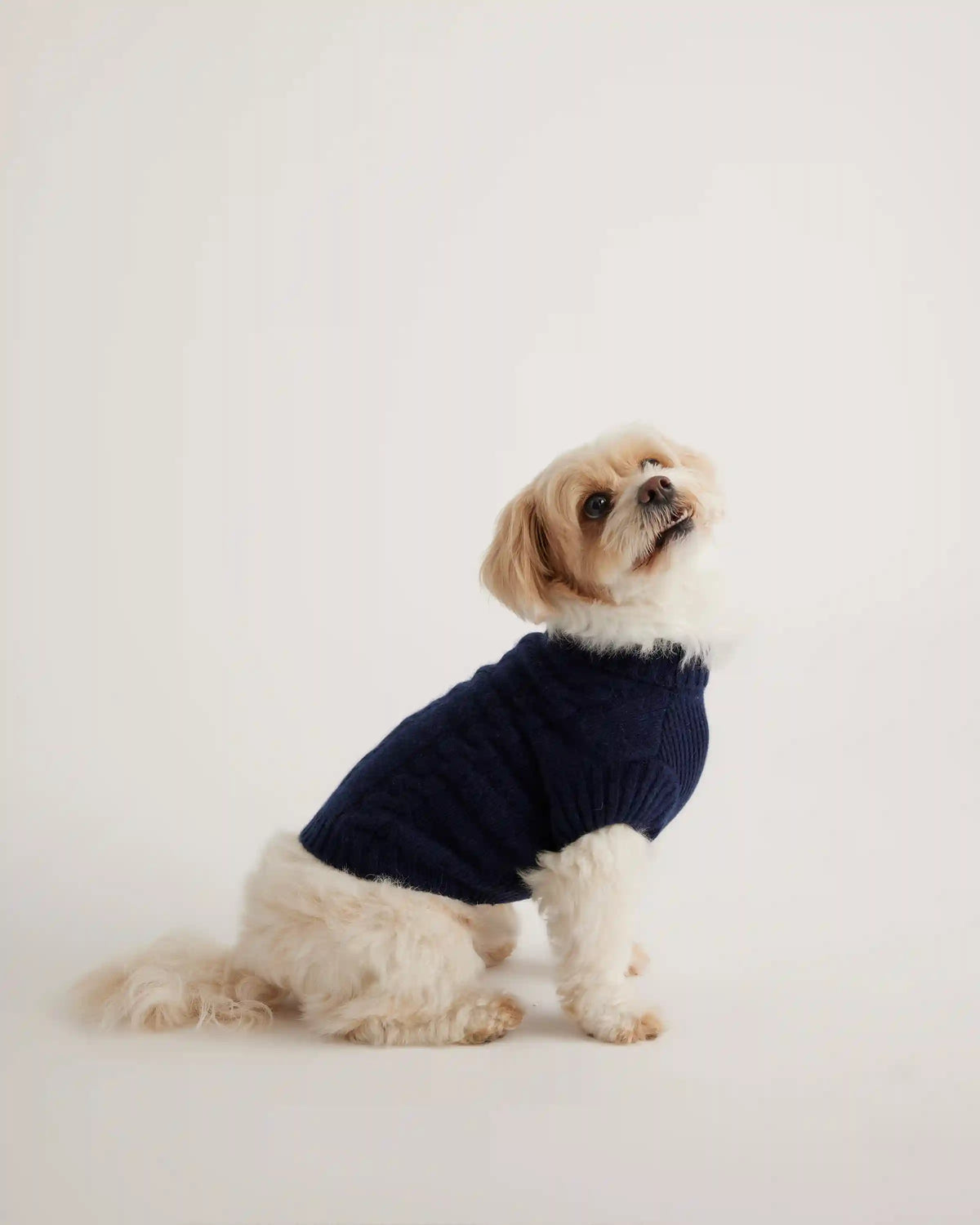 Mongolian Cashmere Cable Knit Dog Sweater