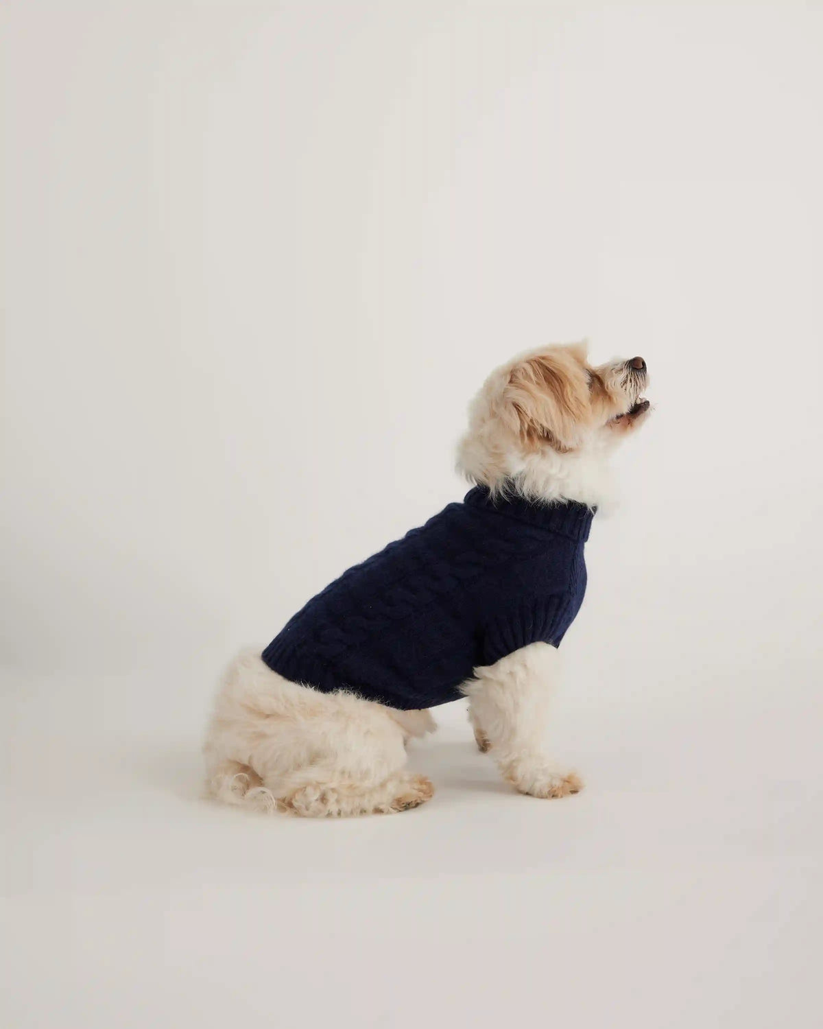 Mongolian Cashmere Cable Knit Dog Sweater