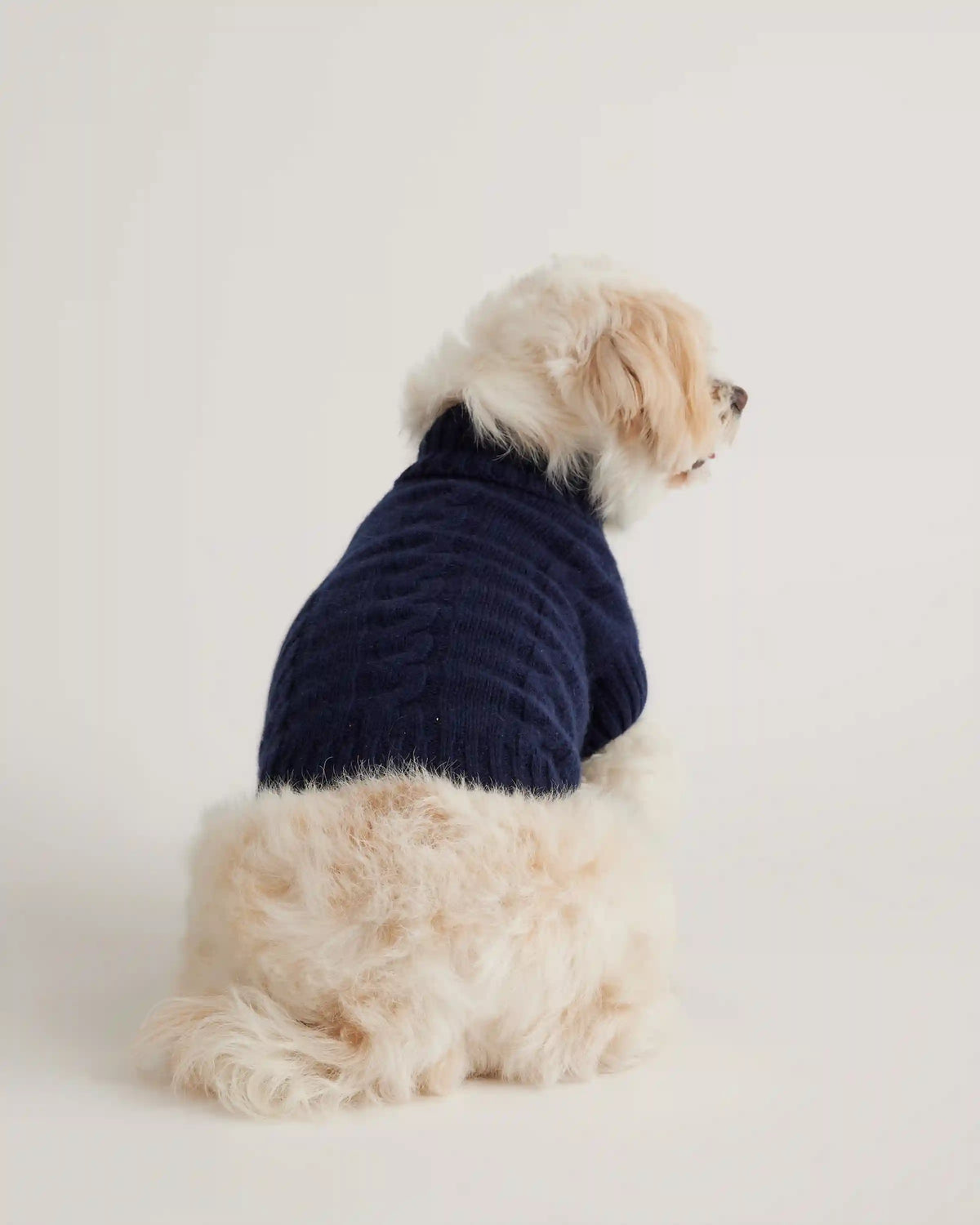 Mongolian Cashmere Cable Knit Dog Sweater