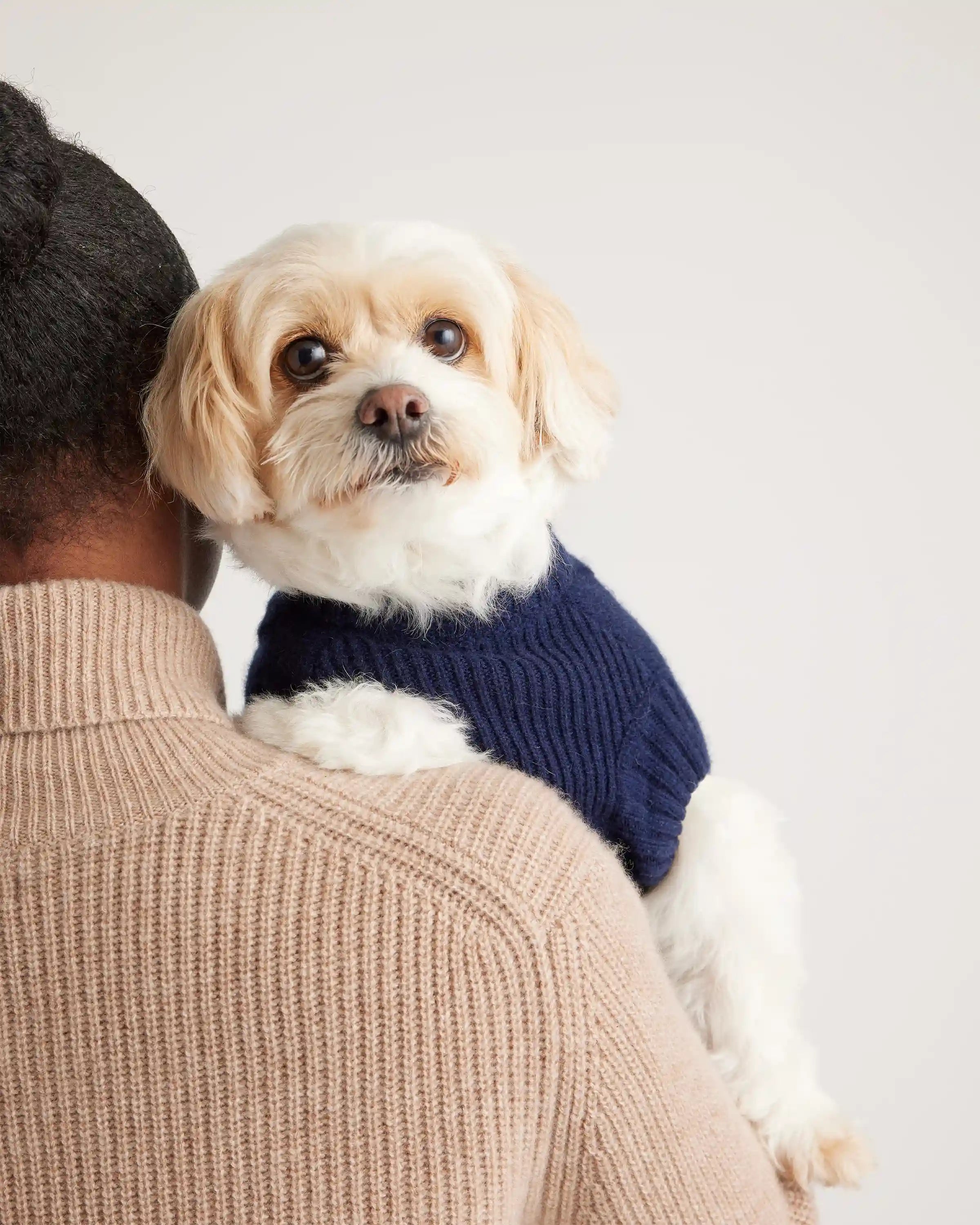 Mongolian Cashmere Cable Knit Dog Sweater