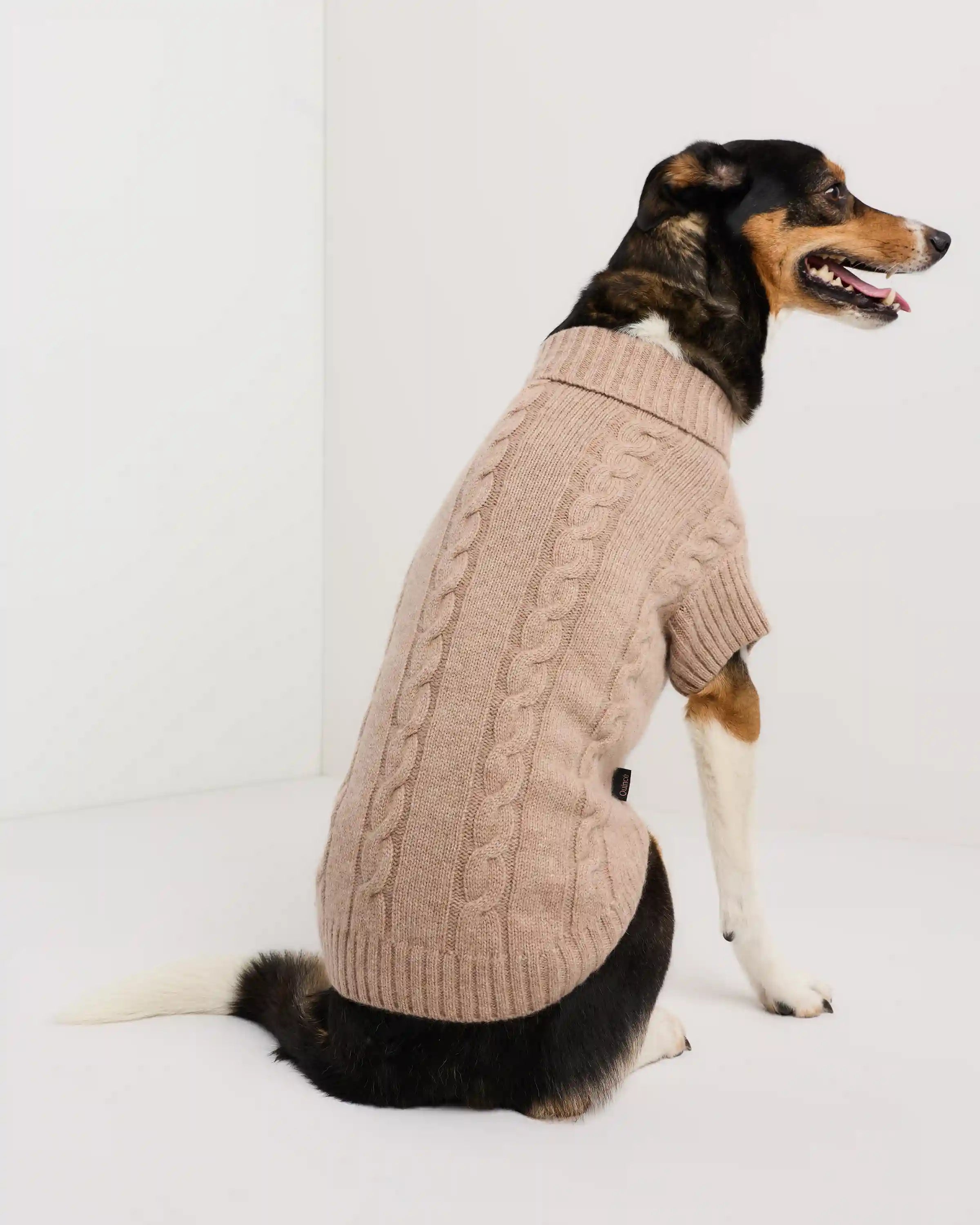 Mongolian Cashmere Cable Knit Dog Sweater