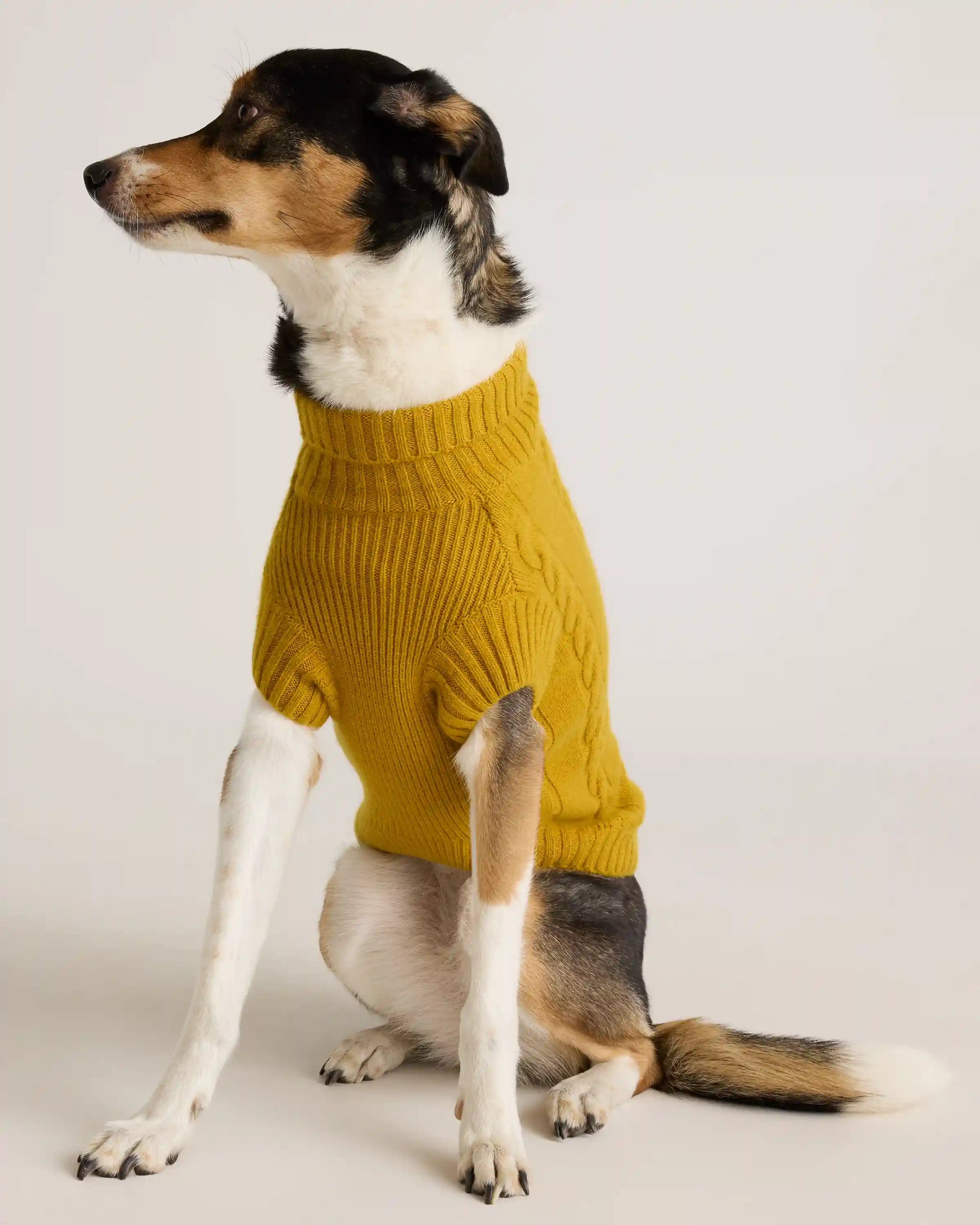 Mongolian Cashmere Cable Knit Dog Sweater