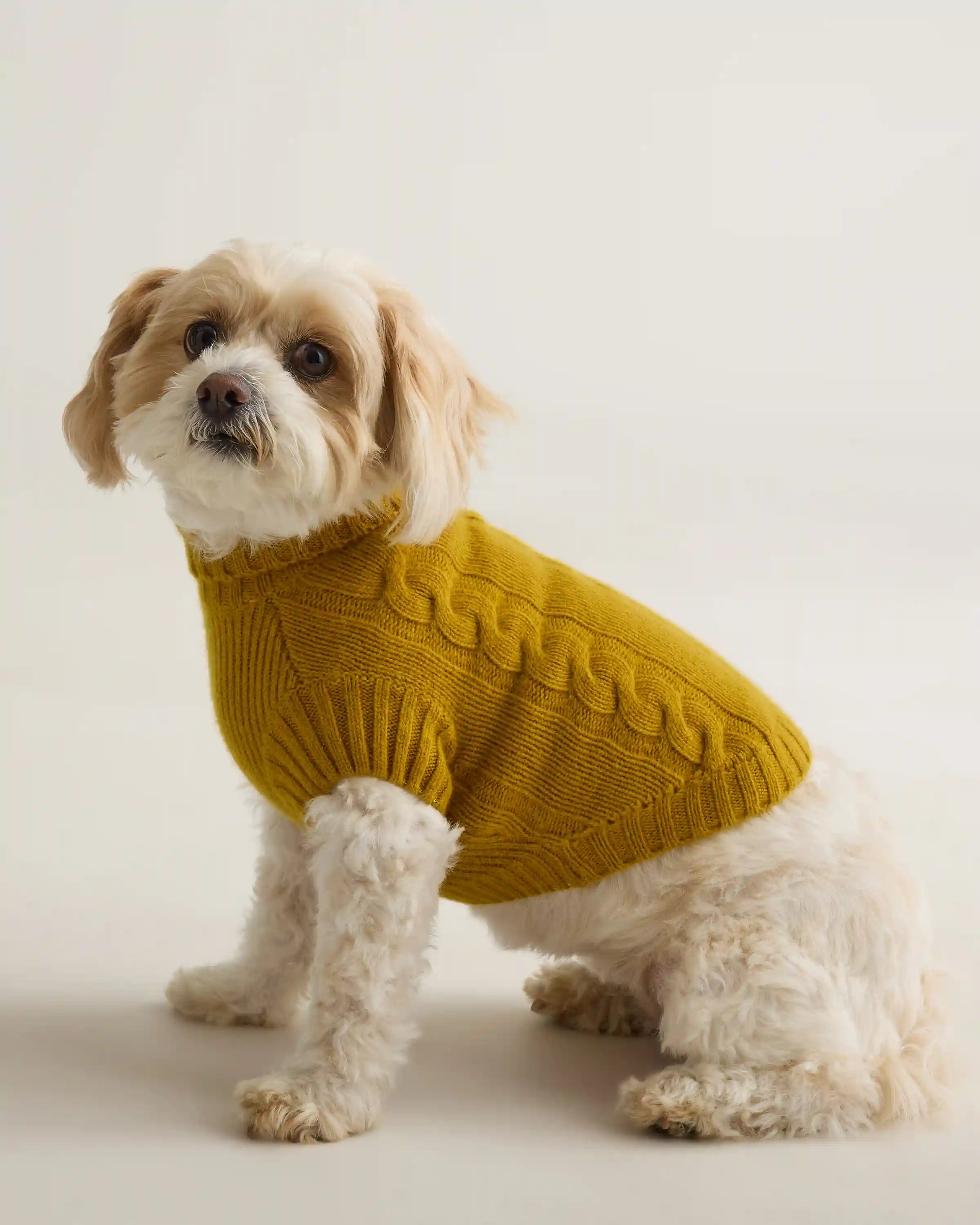 Mongolian Cashmere Cable Knit Dog Sweater