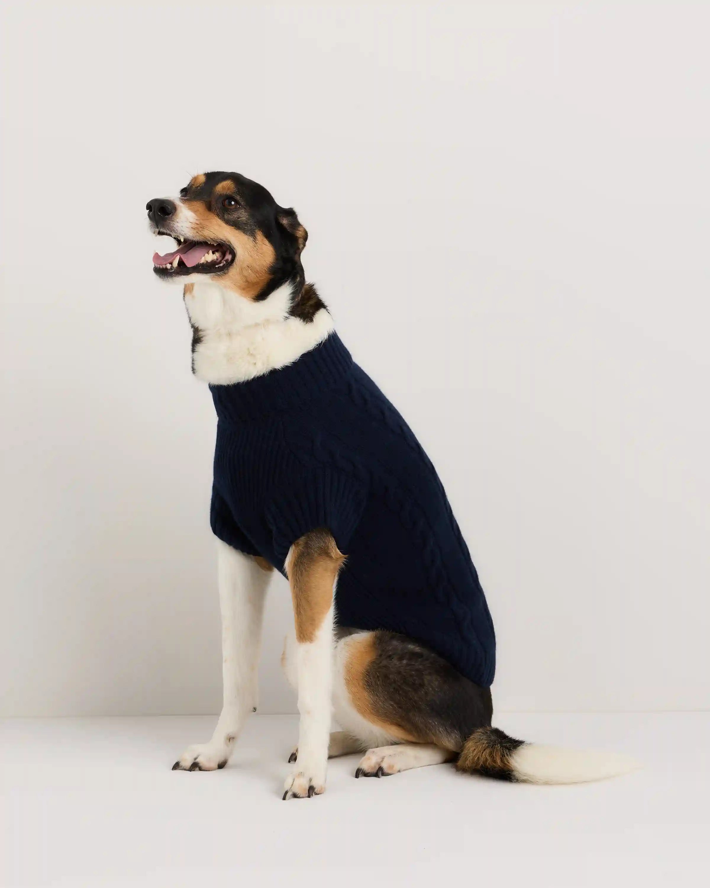 Mongolian Cashmere Cable Knit Dog Sweater