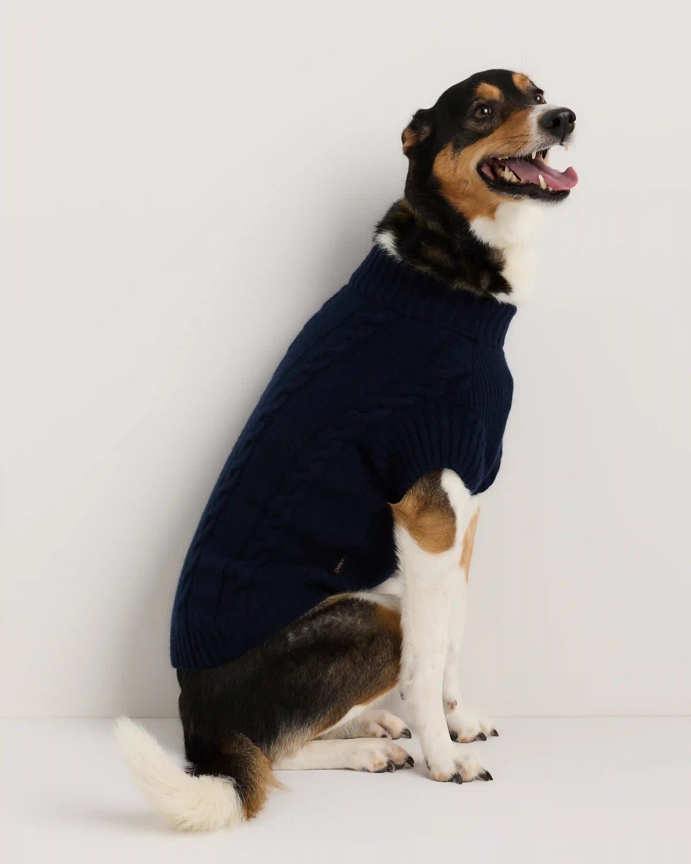 Mongolian Cashmere Cable Knit Dog Sweater