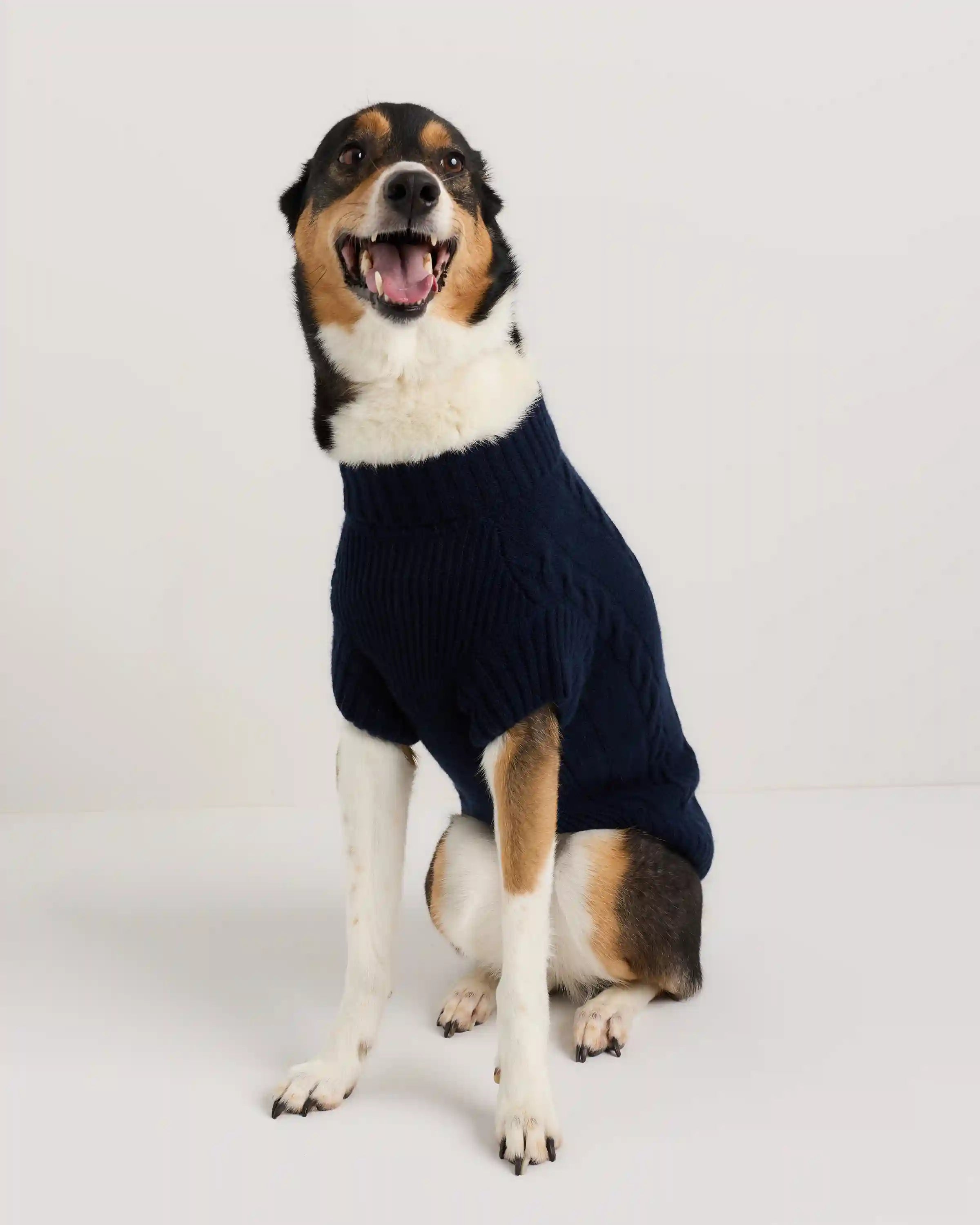 Mongolian Cashmere Cable Knit Dog Sweater