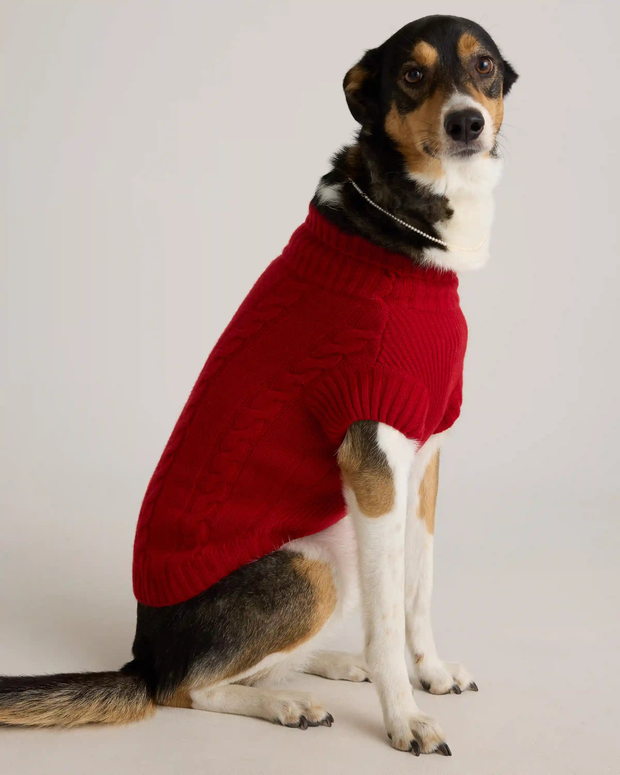 Mongolian Cashmere Cable Knit Dog Sweater