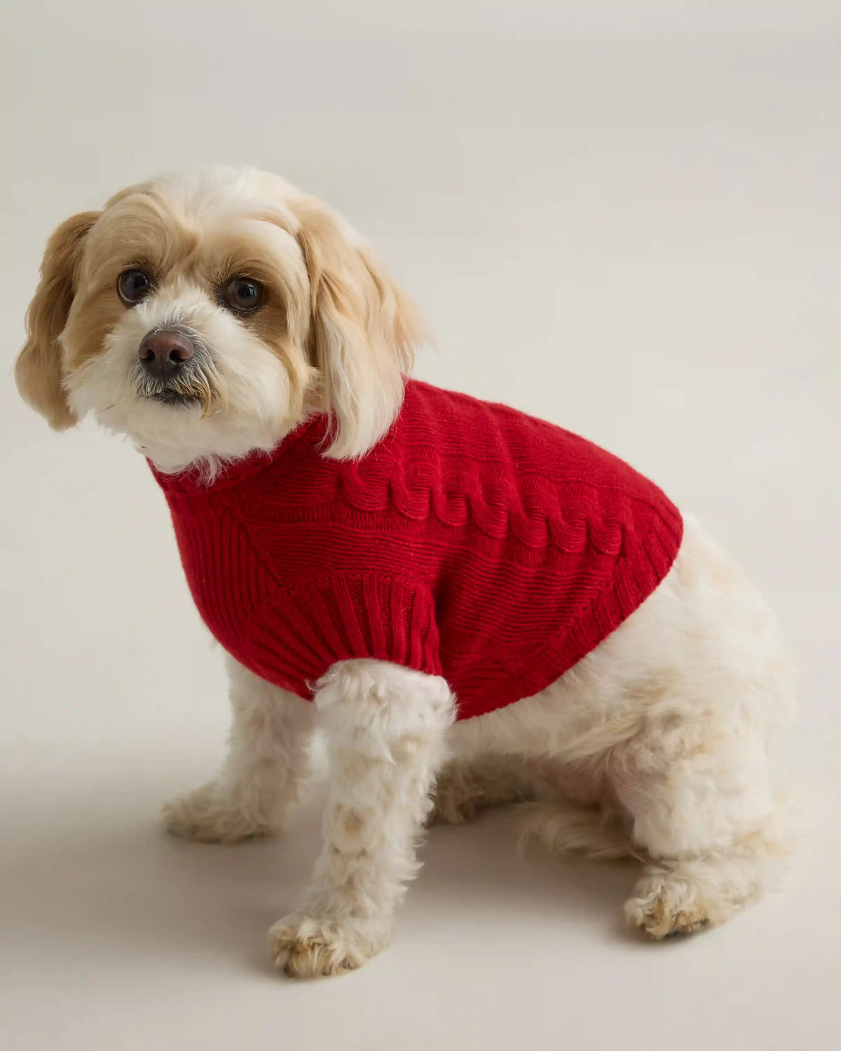 Mongolian Cashmere Cable Knit Dog Sweater