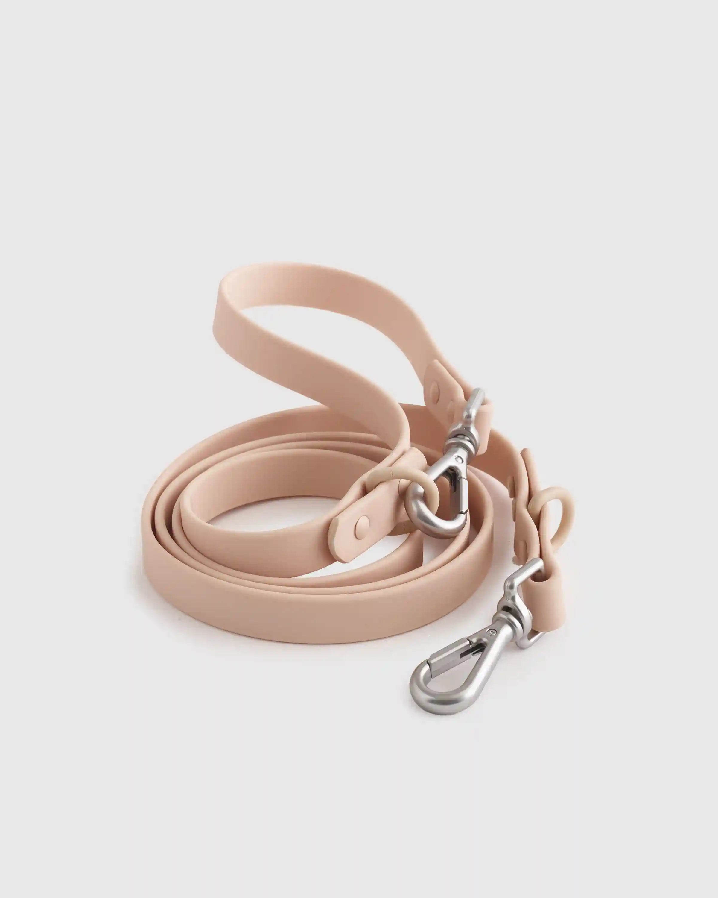 Dog Collar Walk Kit