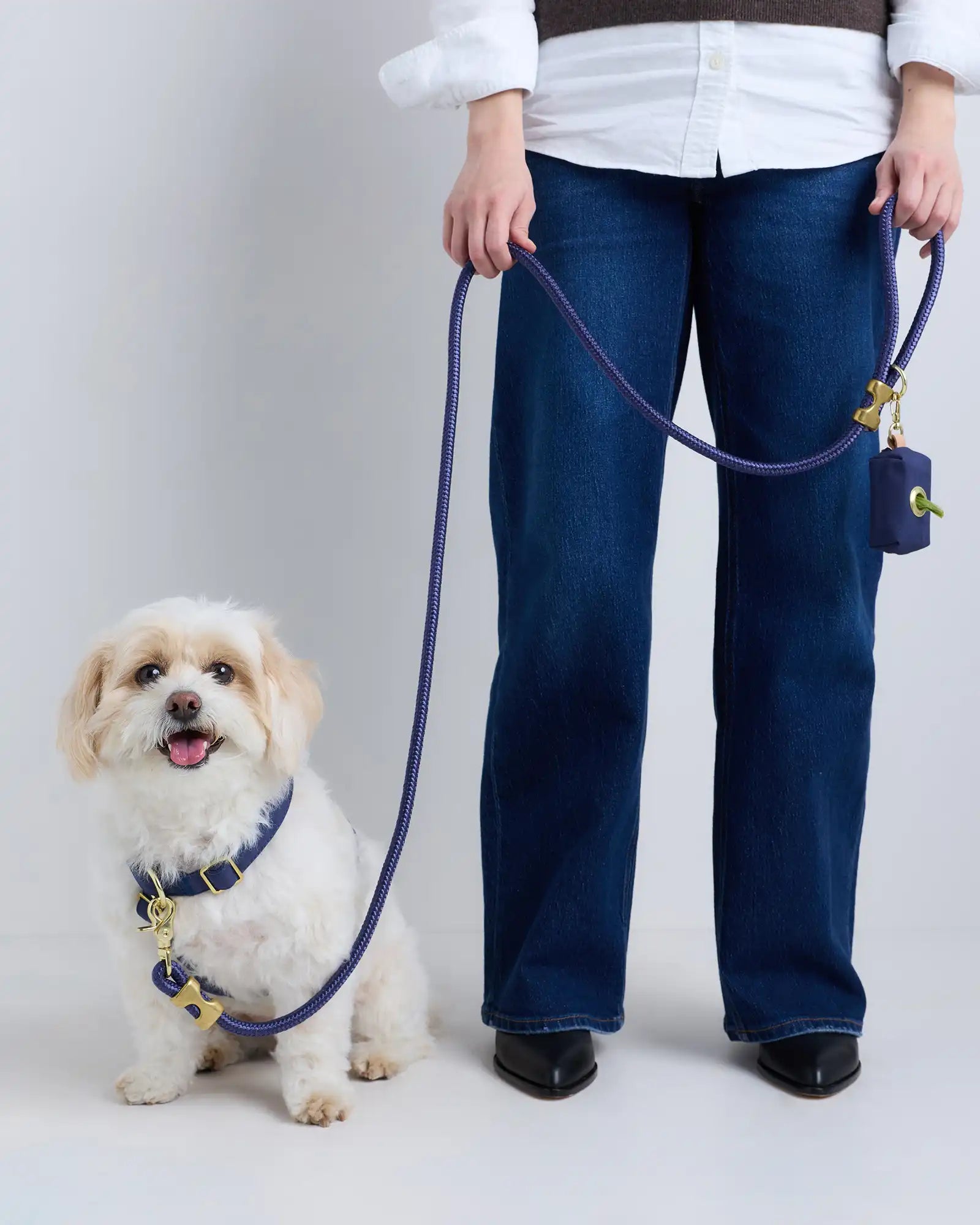 100% Cotton-Wrapped Nylon Dog Harness Walk Kit