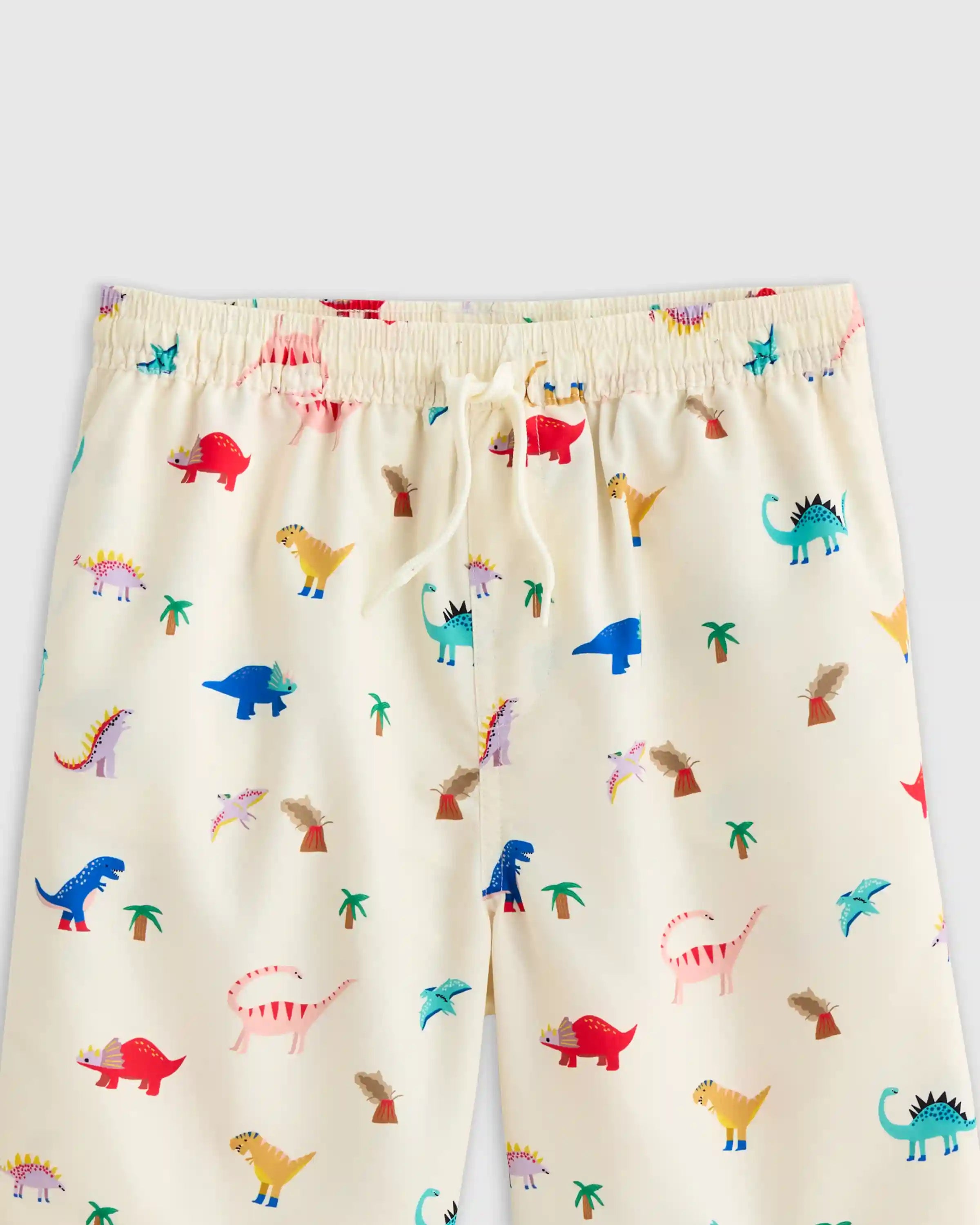 Swim Trunk