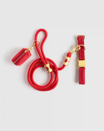 100% Cotton-Wrapped Nylon Dog Collar Walk Kit