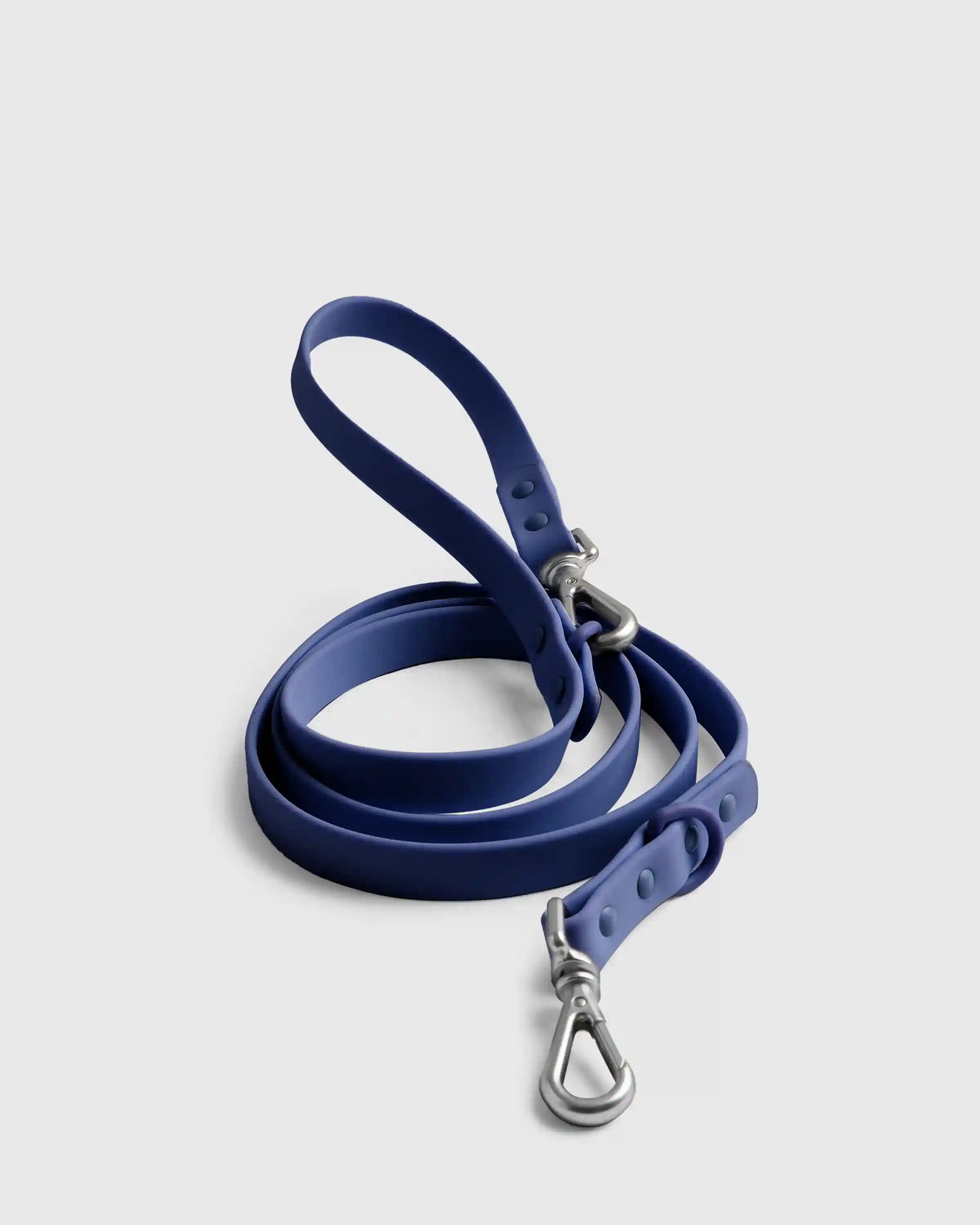 Dog Collar Walk Kit